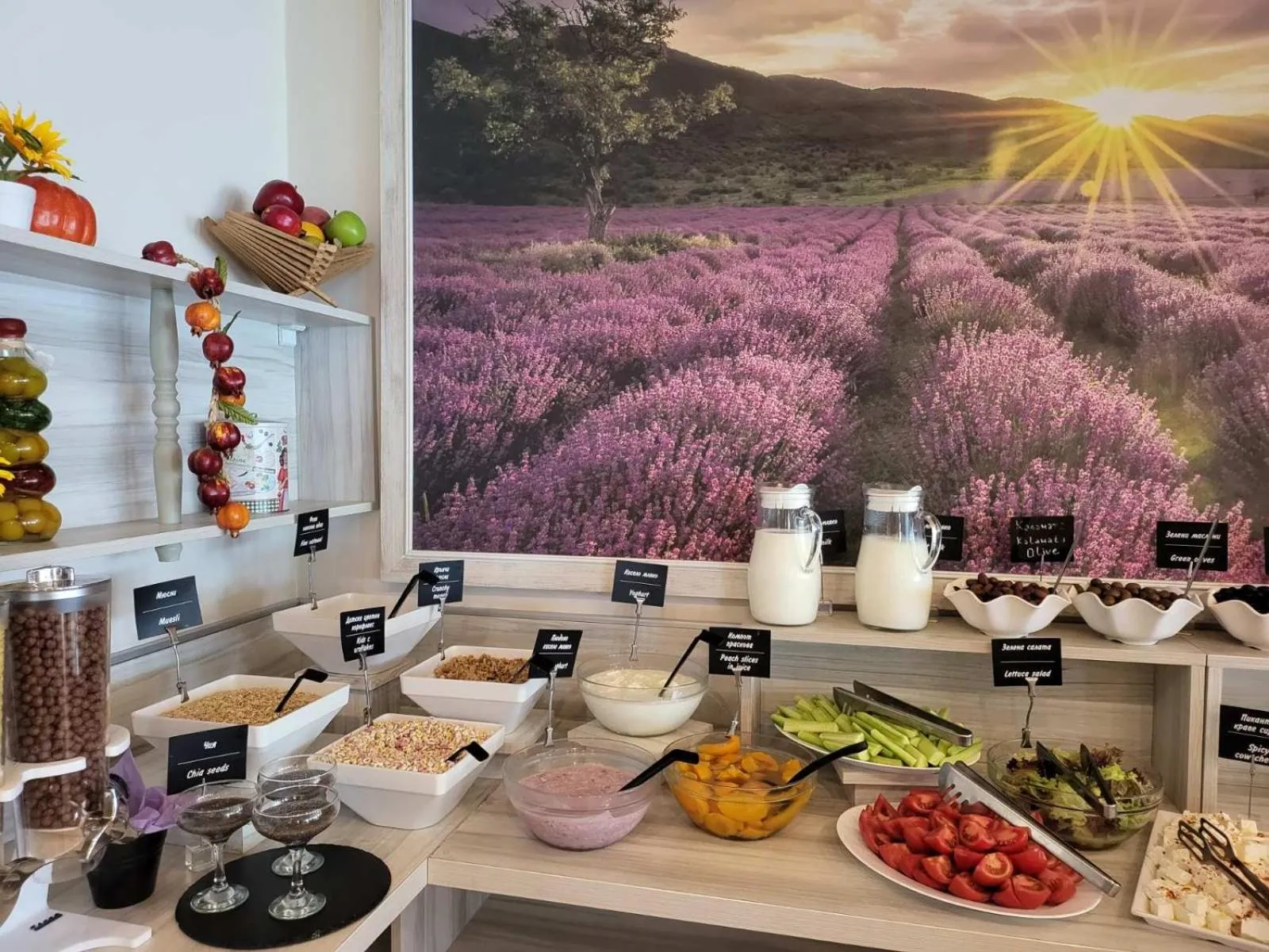 Buffet breakfast in Aphrodite Beach Hotel