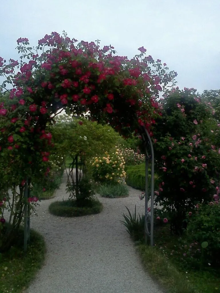 Area and facilities in Hotel In Sylvis