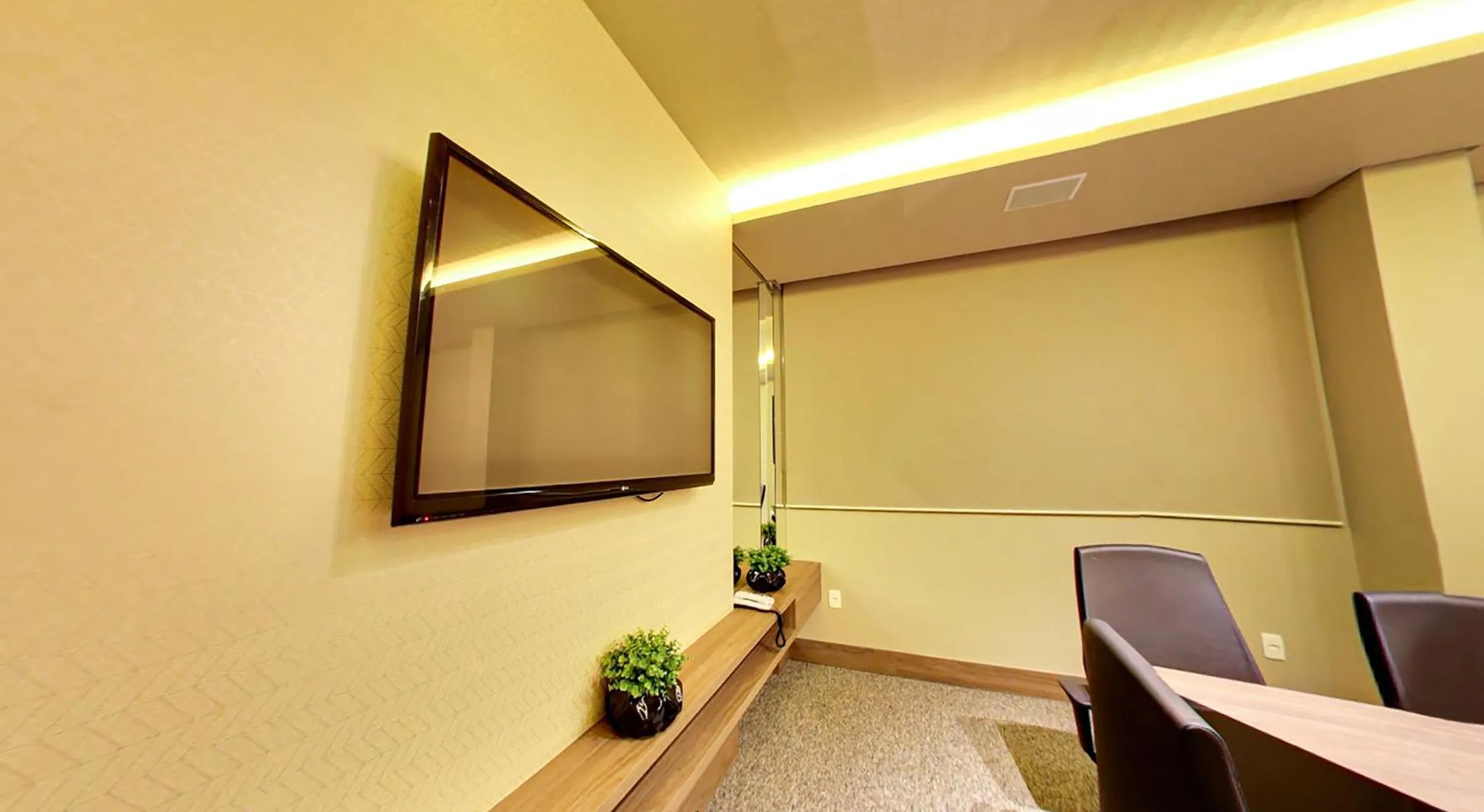 TV and multimedia in Amazon Plaza Hotel