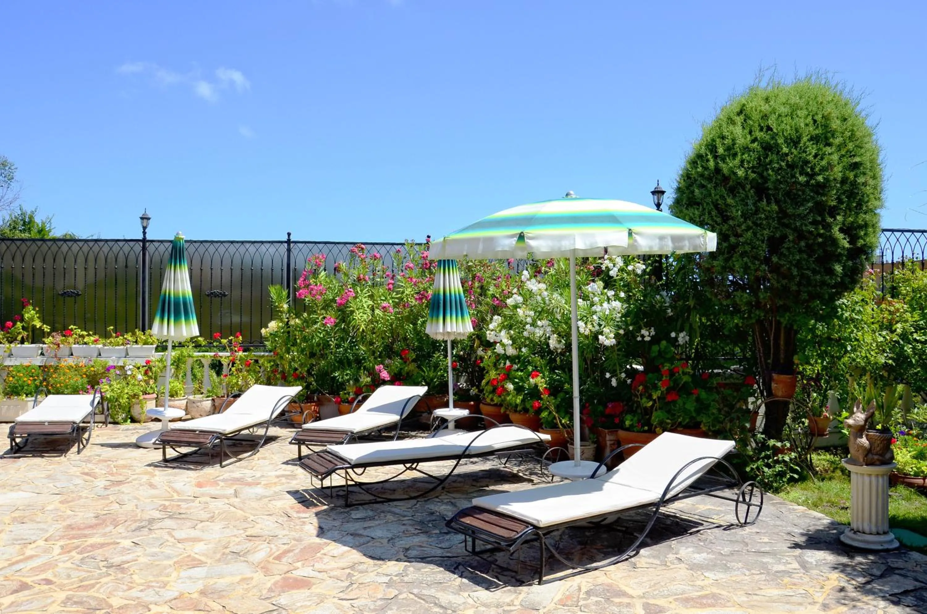 Garden in Dallas Residence