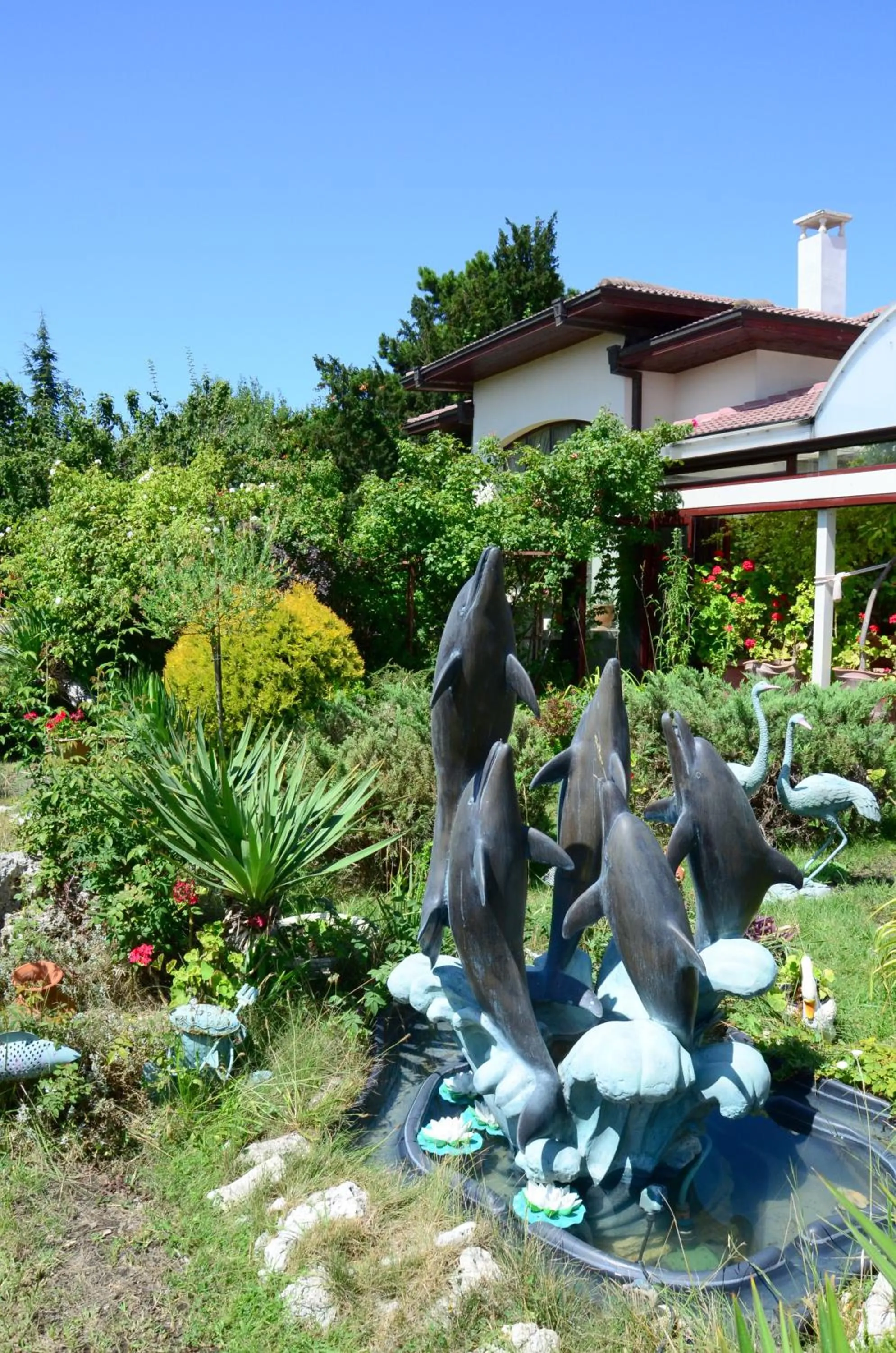 Garden in Dallas Residence