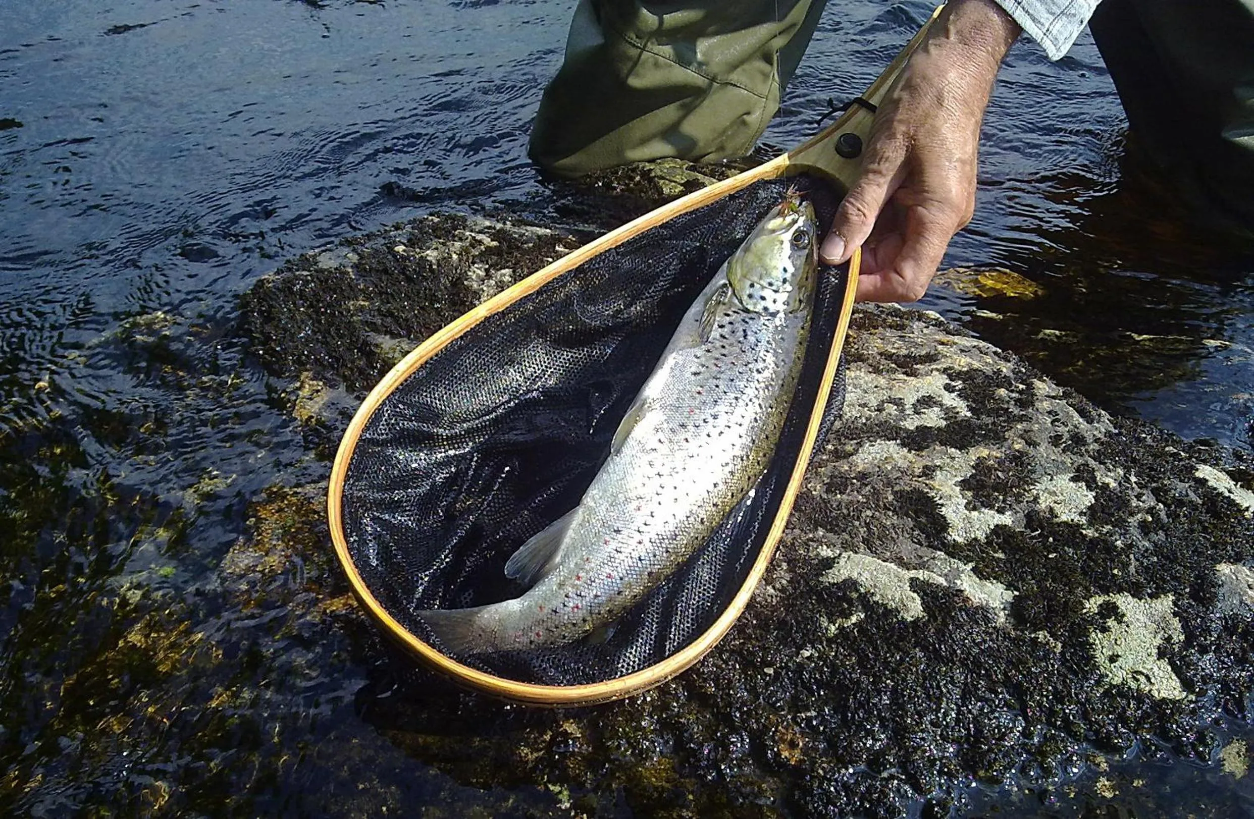 Fishing in Hotelli Kainuu