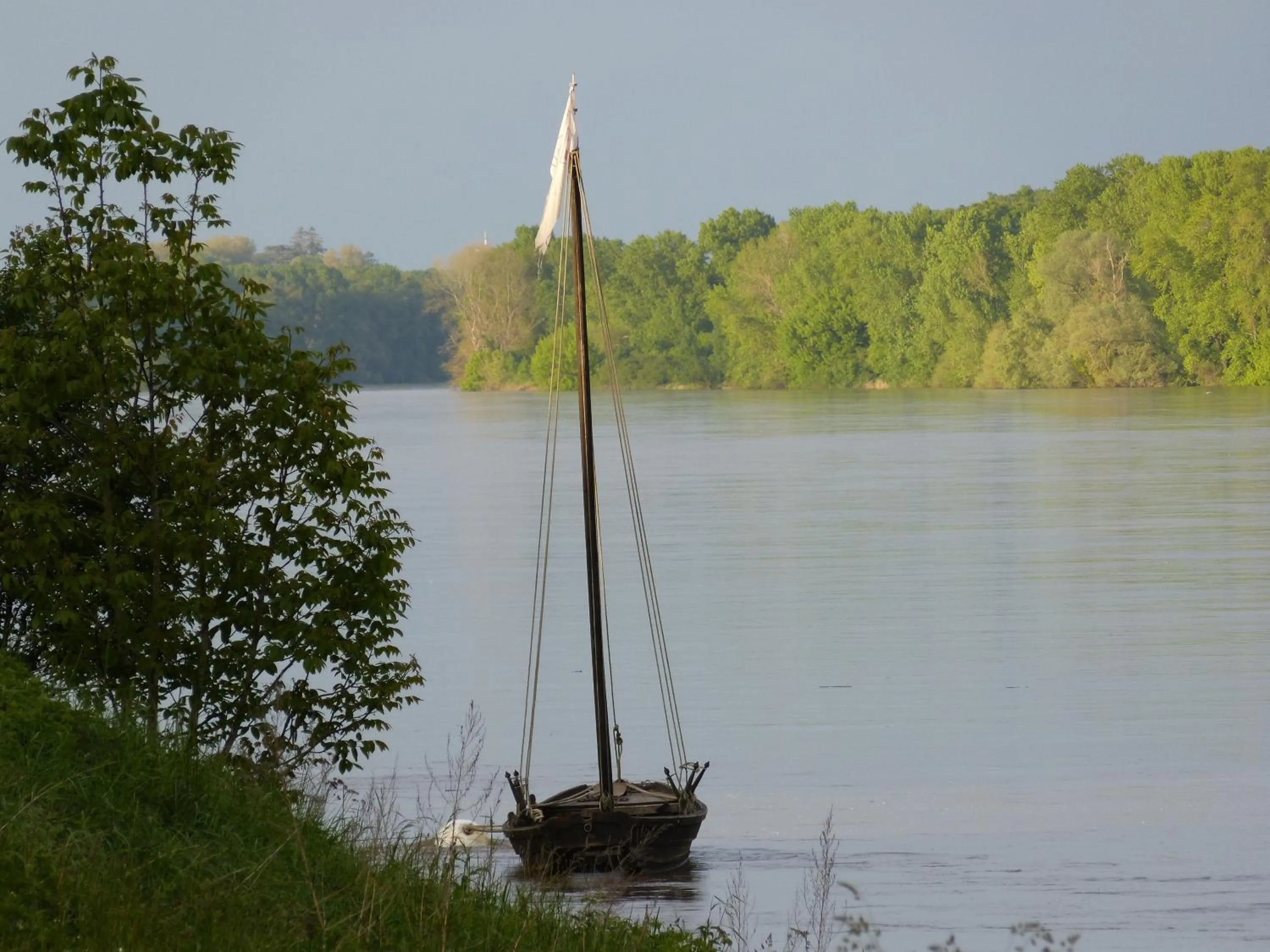 Area and facilities in Logis Hôtel Le Relais Louis XI