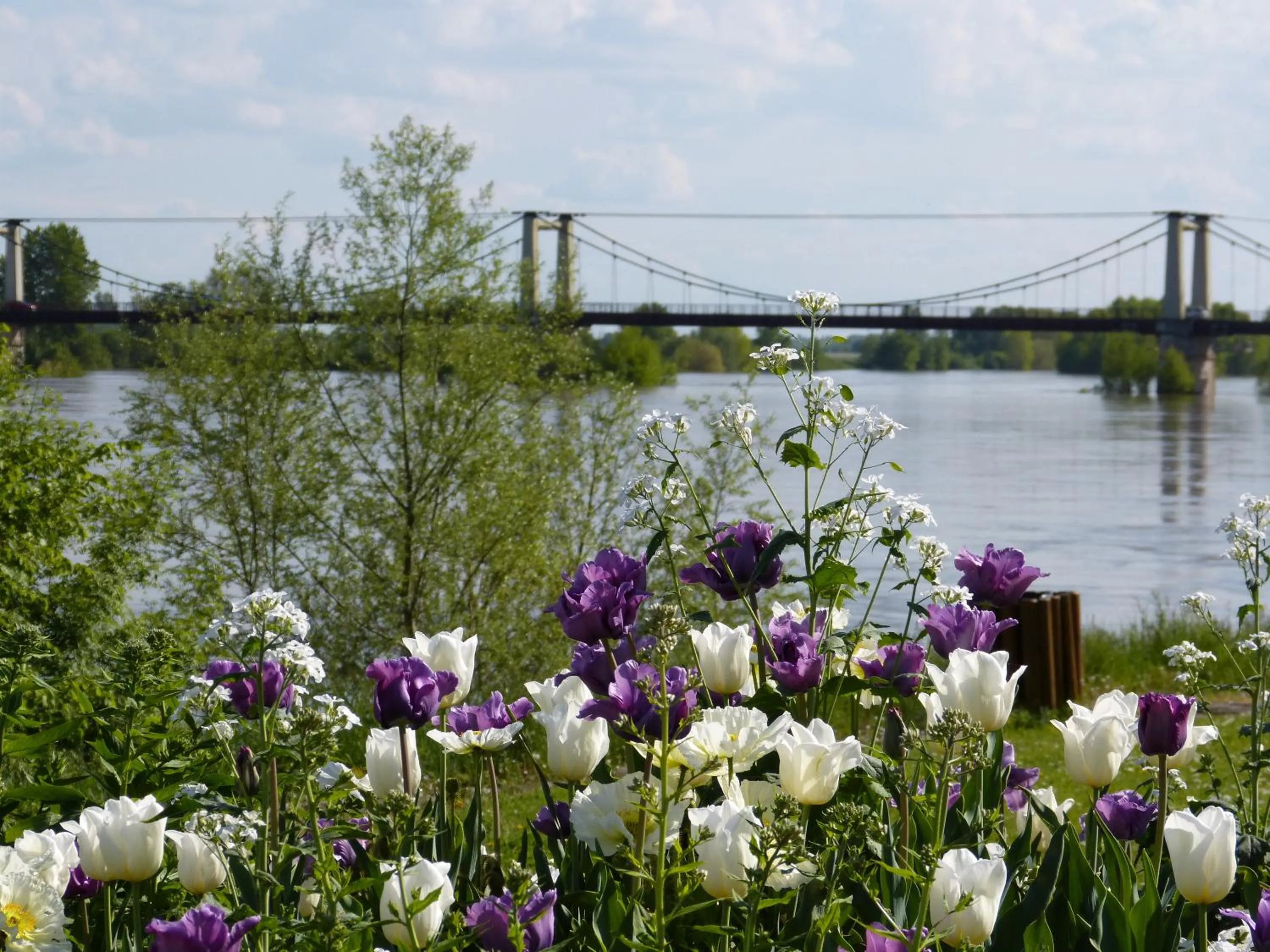 Area and facilities in Logis Hôtel Le Relais Louis XI