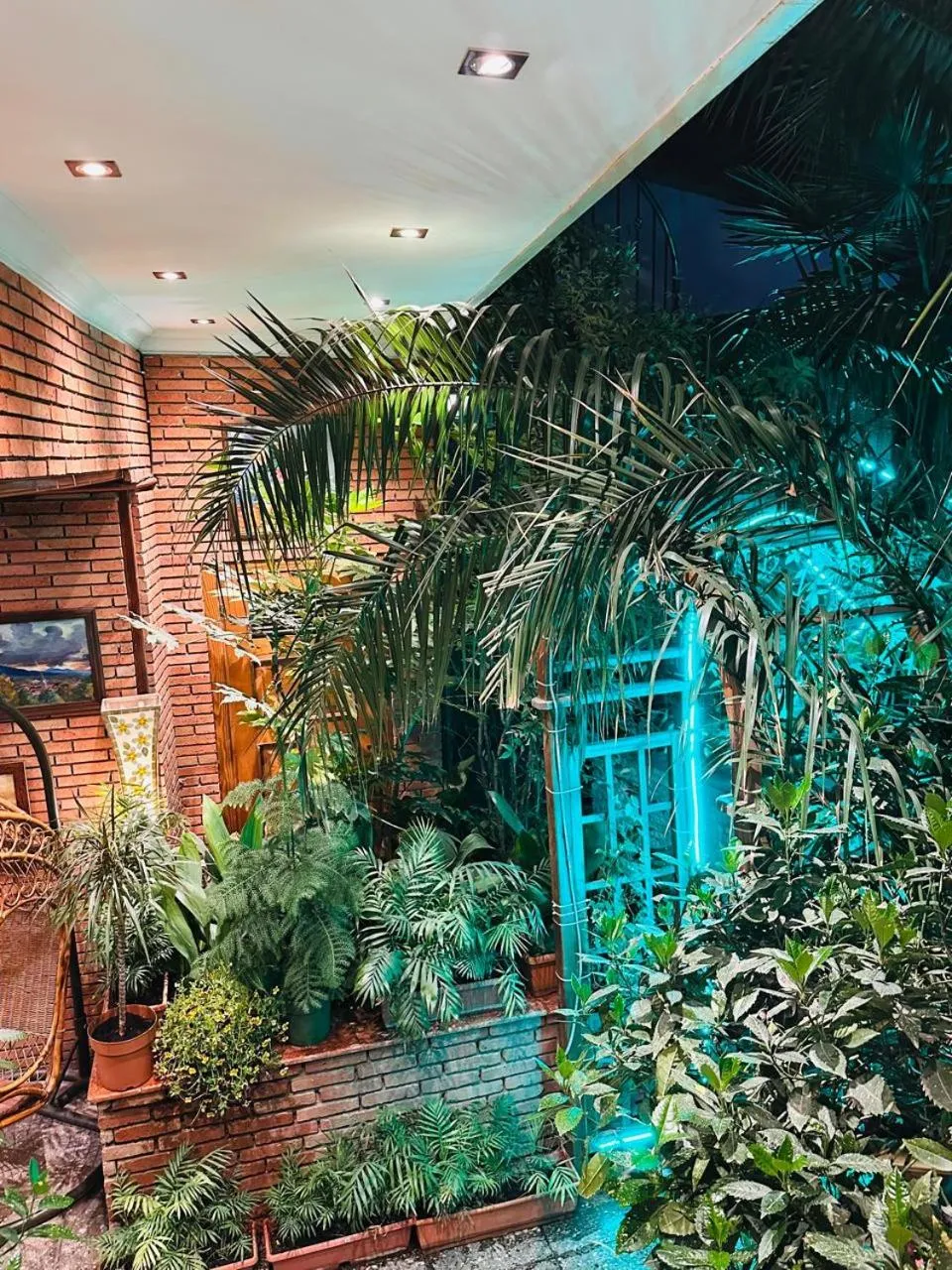 Garden in Hotel British House