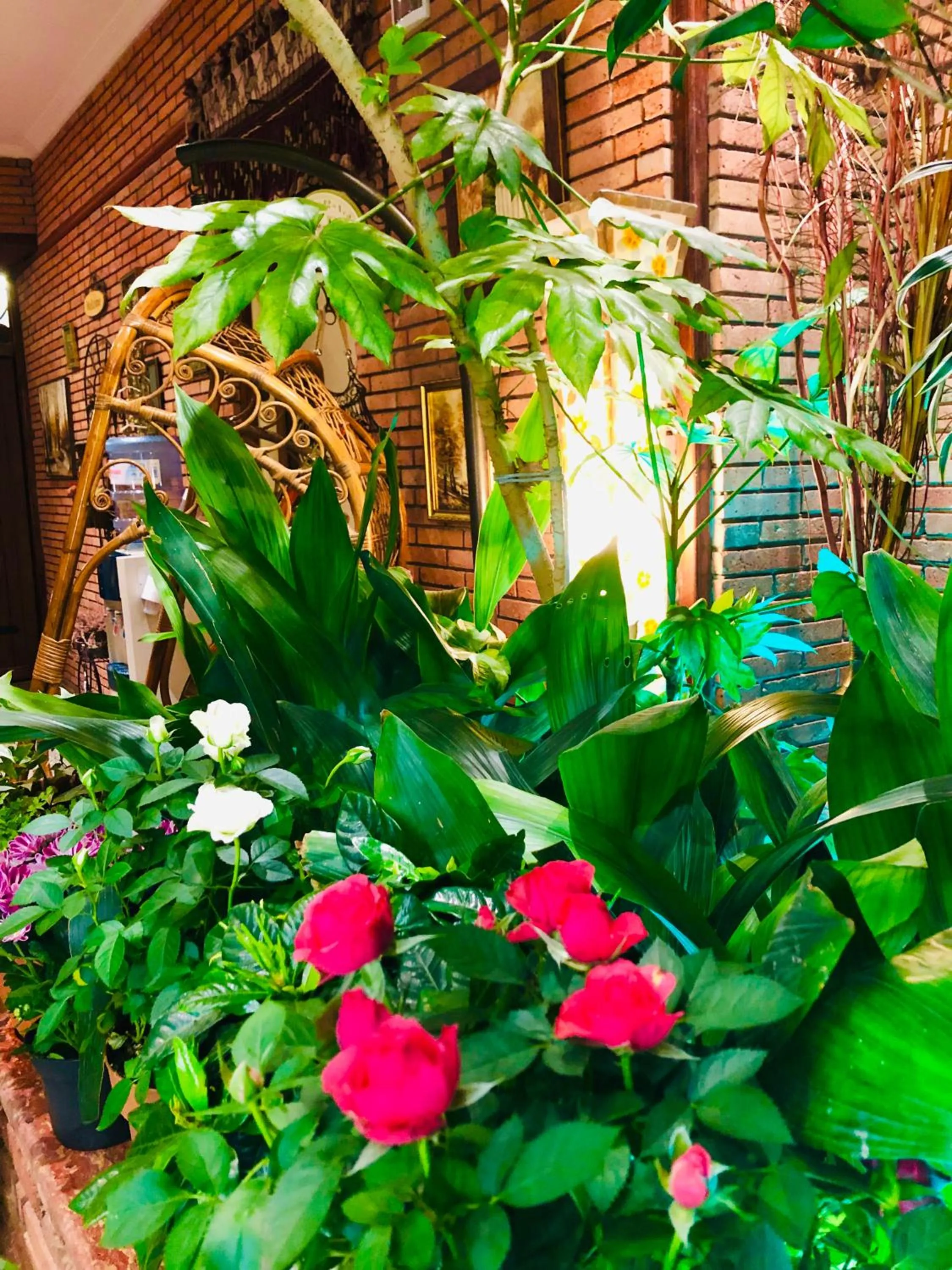 Lobby or reception in Hotel British House