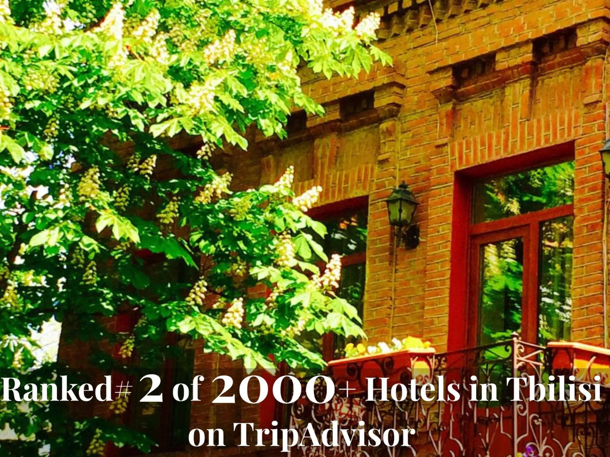 Property building in Hotel British House