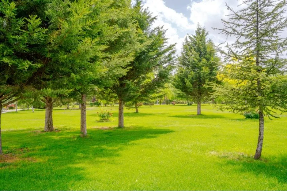 Korel Thermal Resort