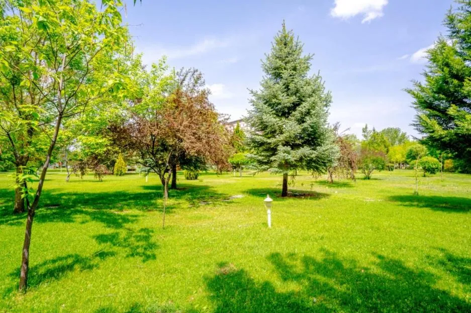 Korel Thermal Resort