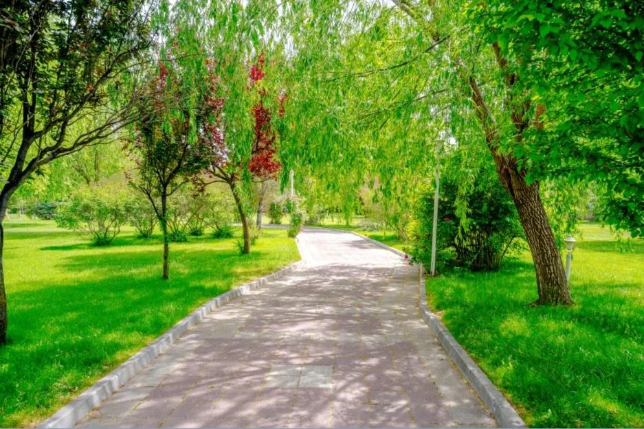 Korel Thermal Resort