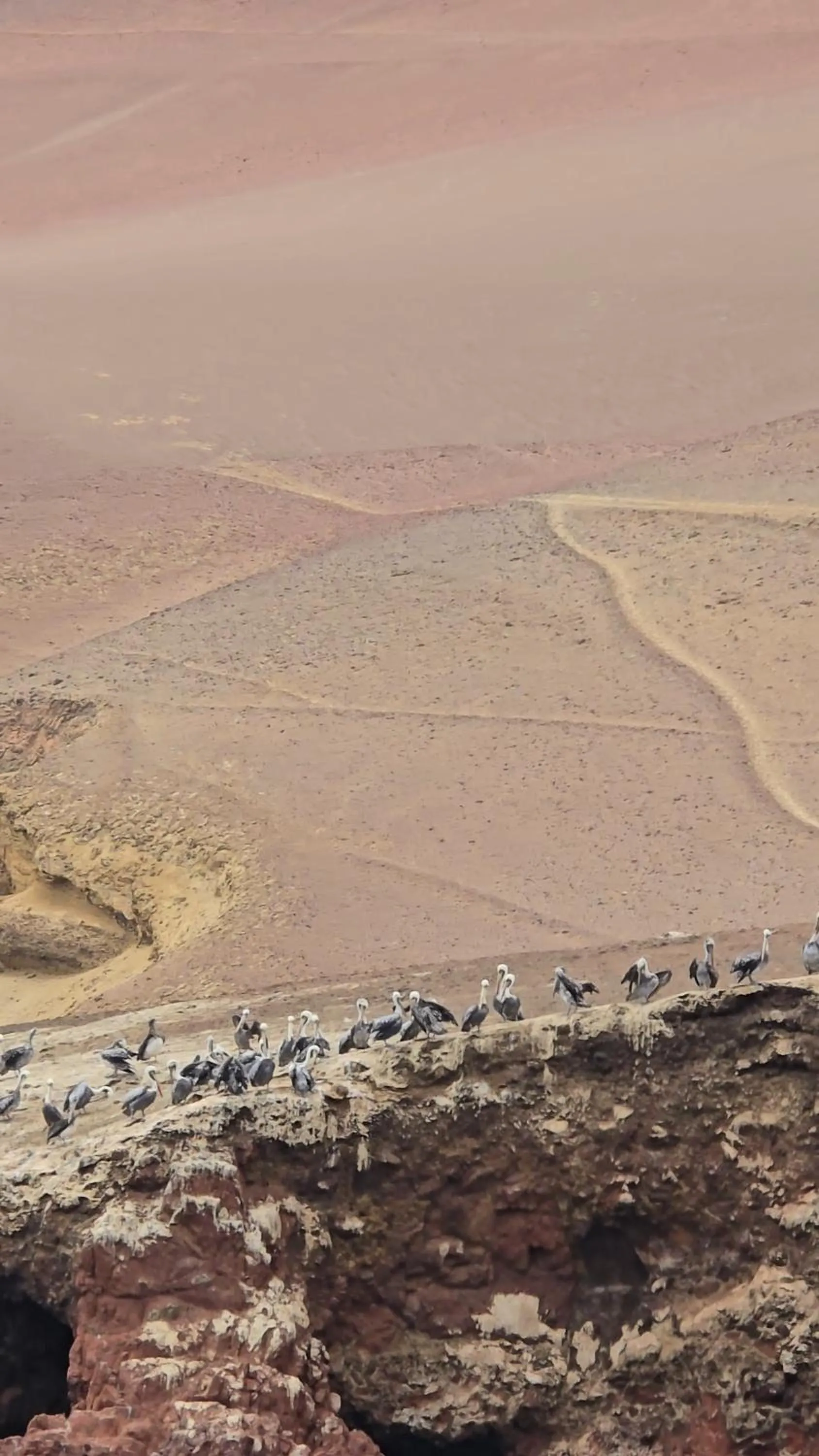 Natural landscape in Hotel Riviera Inka Paracas