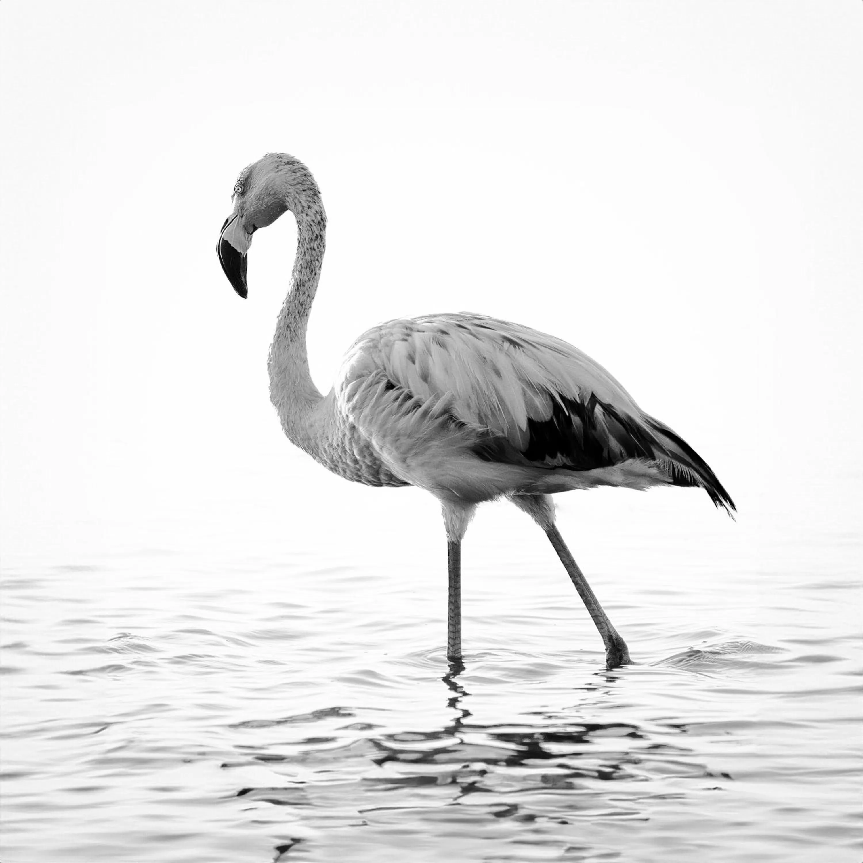 Nearby landmark in Hotel Riviera Inka Paracas