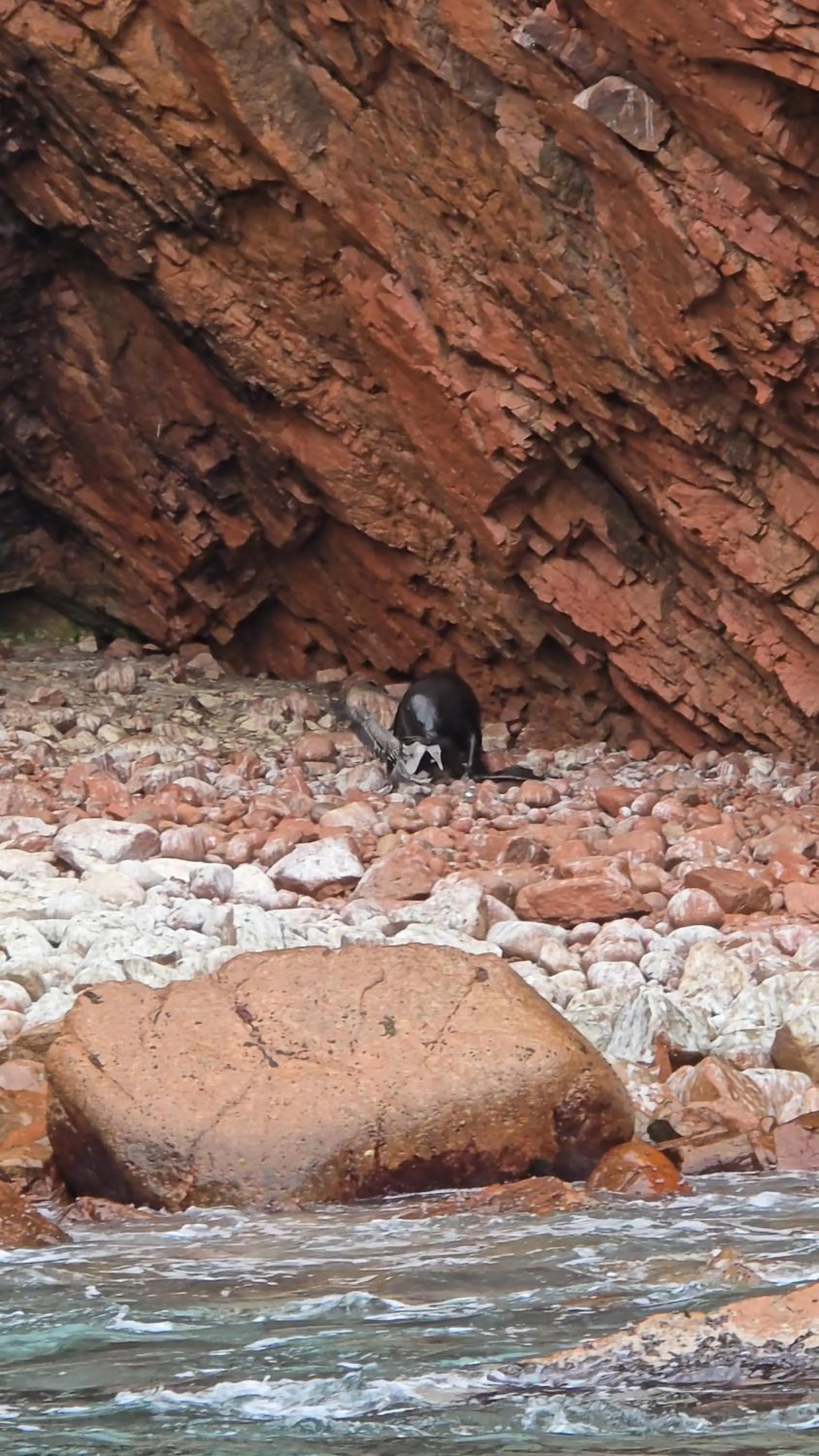 Natural landscape in Hotel Riviera Inka Paracas