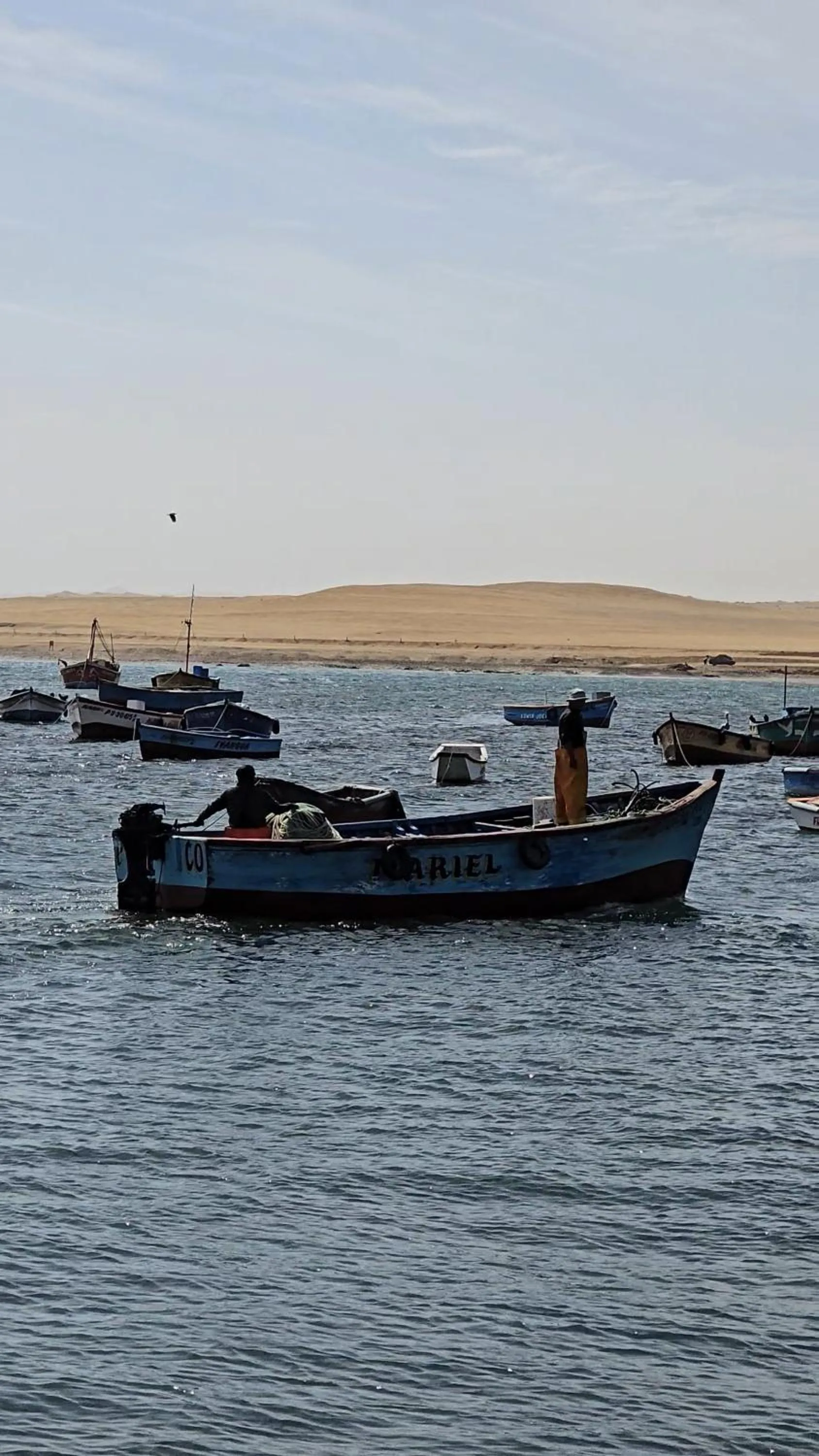Natural landscape in Hotel Riviera Inka Paracas