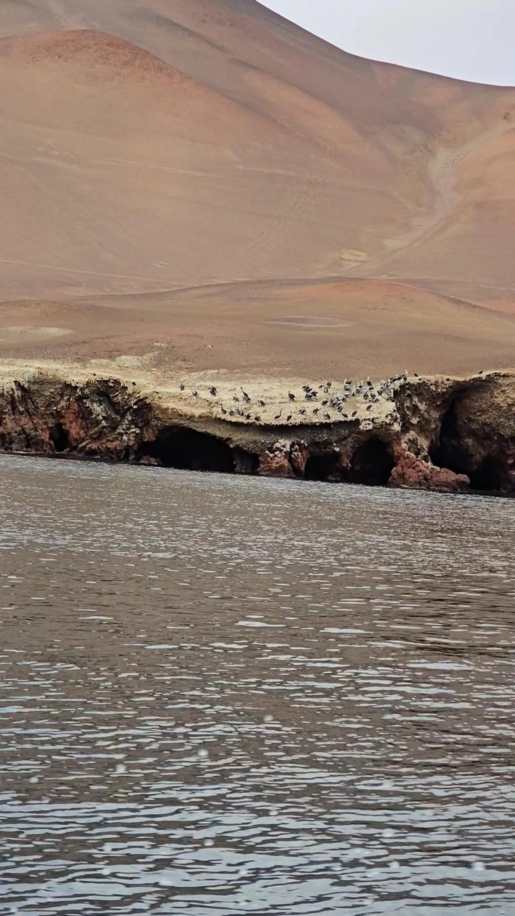 Nearby landmark in Hotel Riviera Inka Paracas