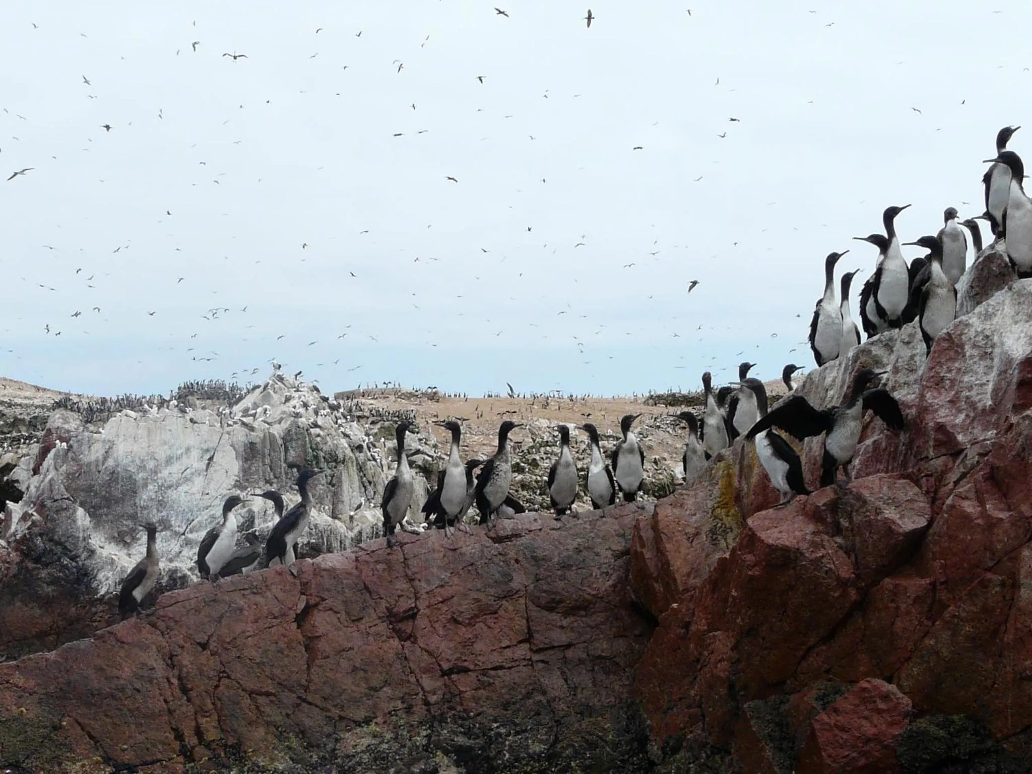 Nearby landmark in Hotel Riviera Inka Paracas