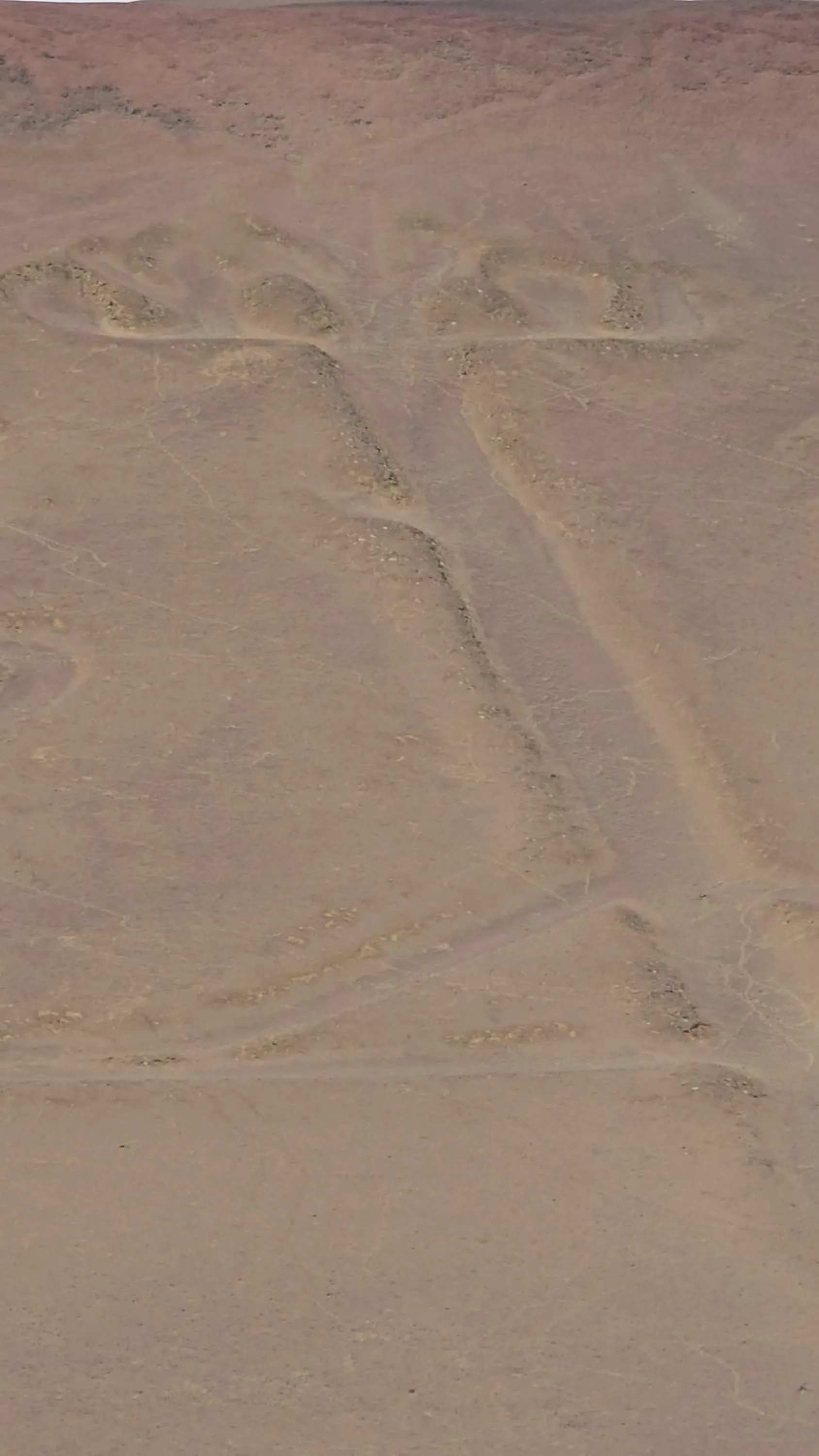 Natural landscape in Hotel Riviera Inka Paracas