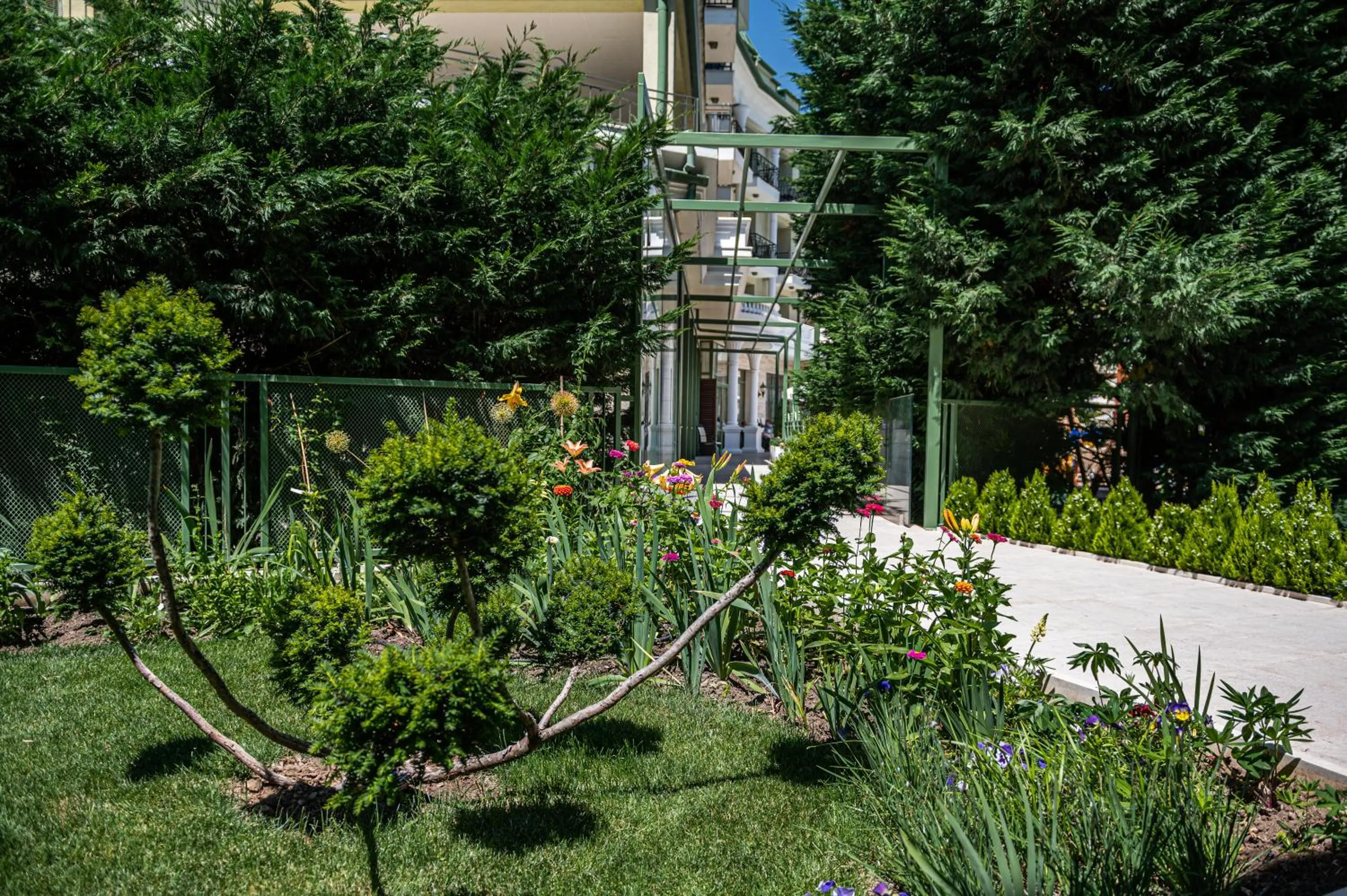 Romance Hotel and Family Suites