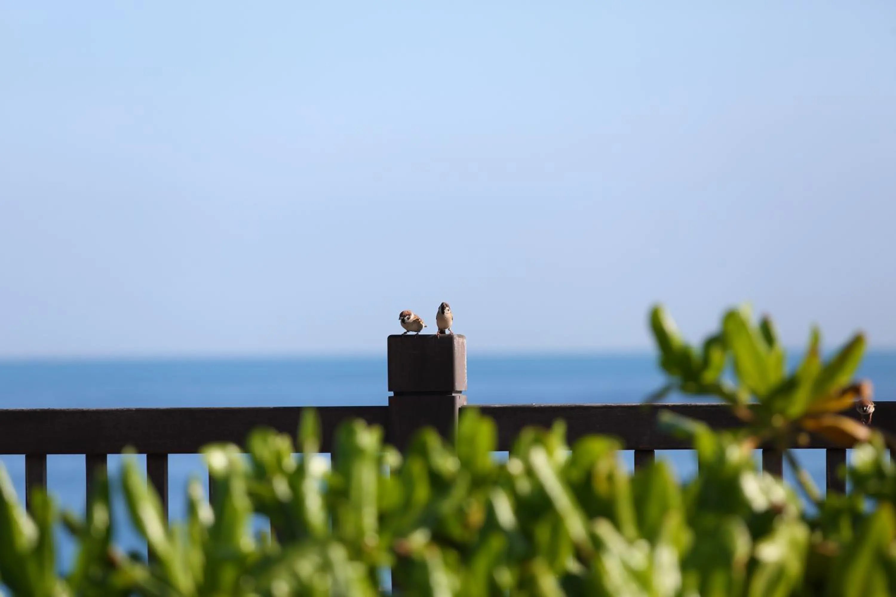 Seven Stars Sunrise,Seven Stars DEAR