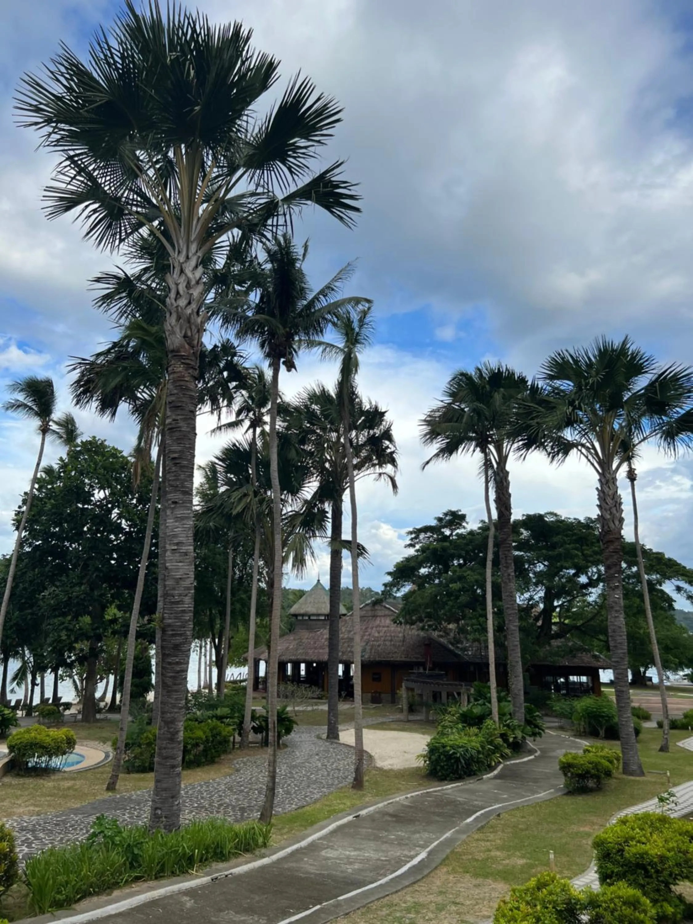 Garden in Fridays Puerto Galera