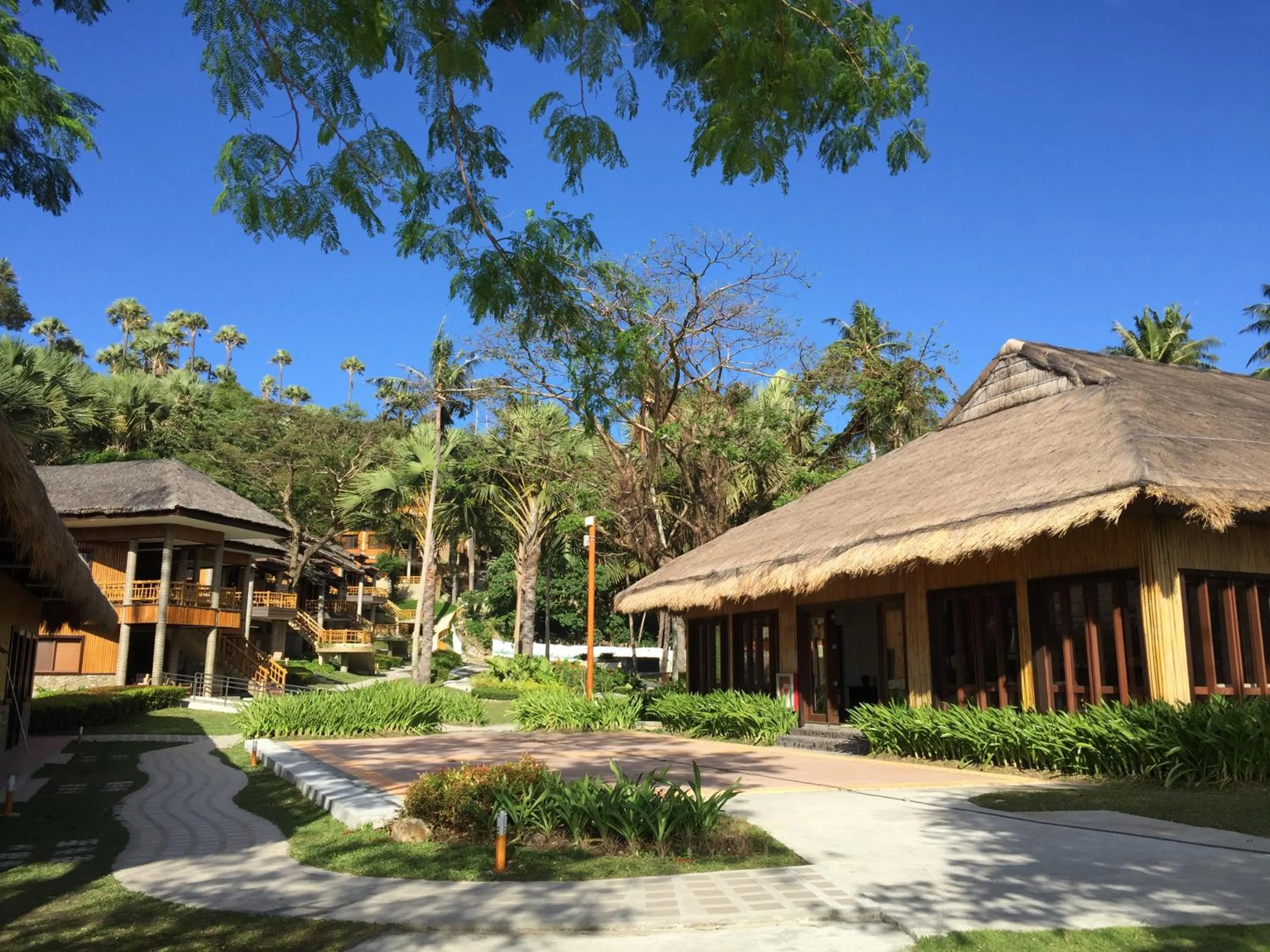 Garden in Fridays Puerto Galera