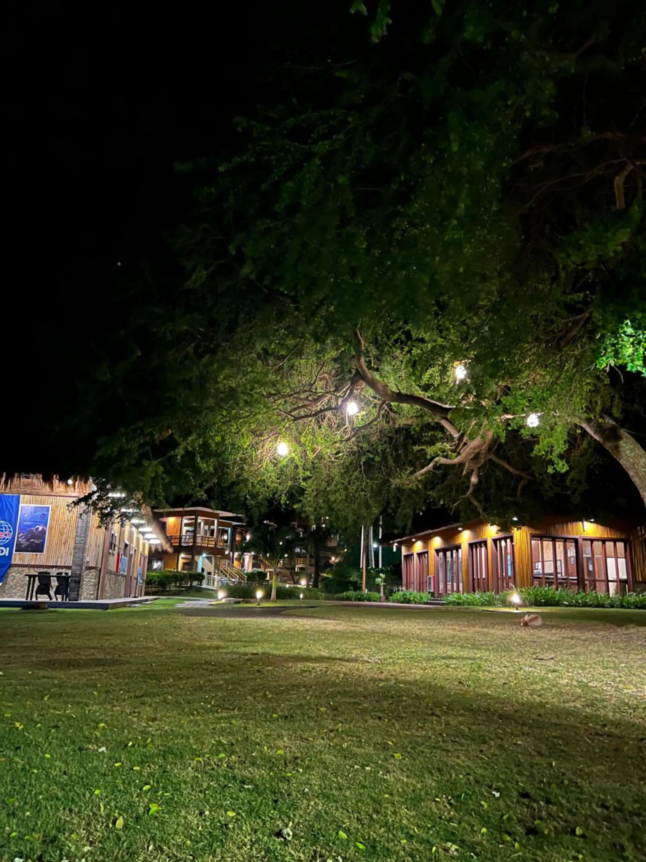 Natural landscape in Fridays Puerto Galera