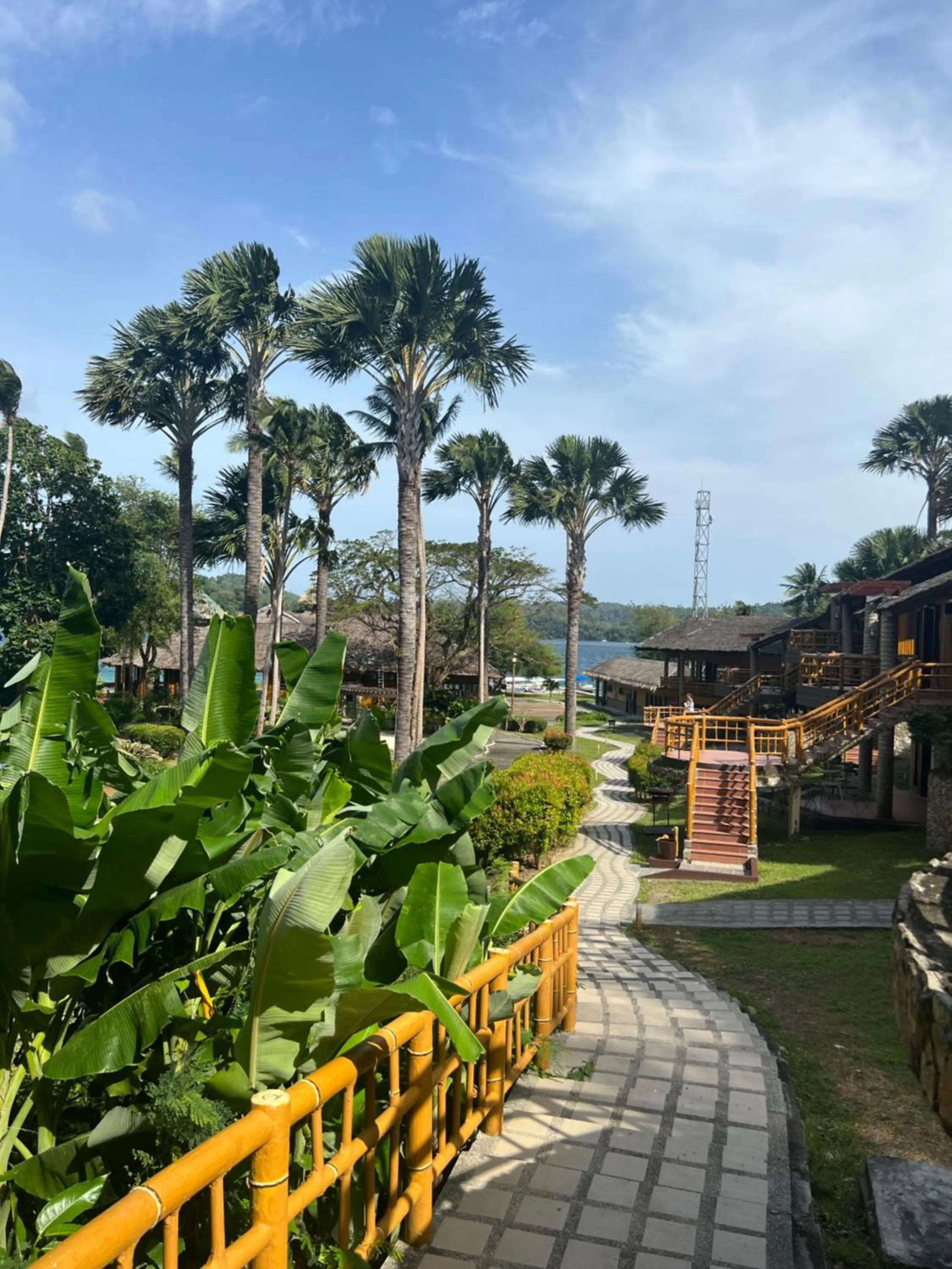 Natural landscape in Fridays Puerto Galera