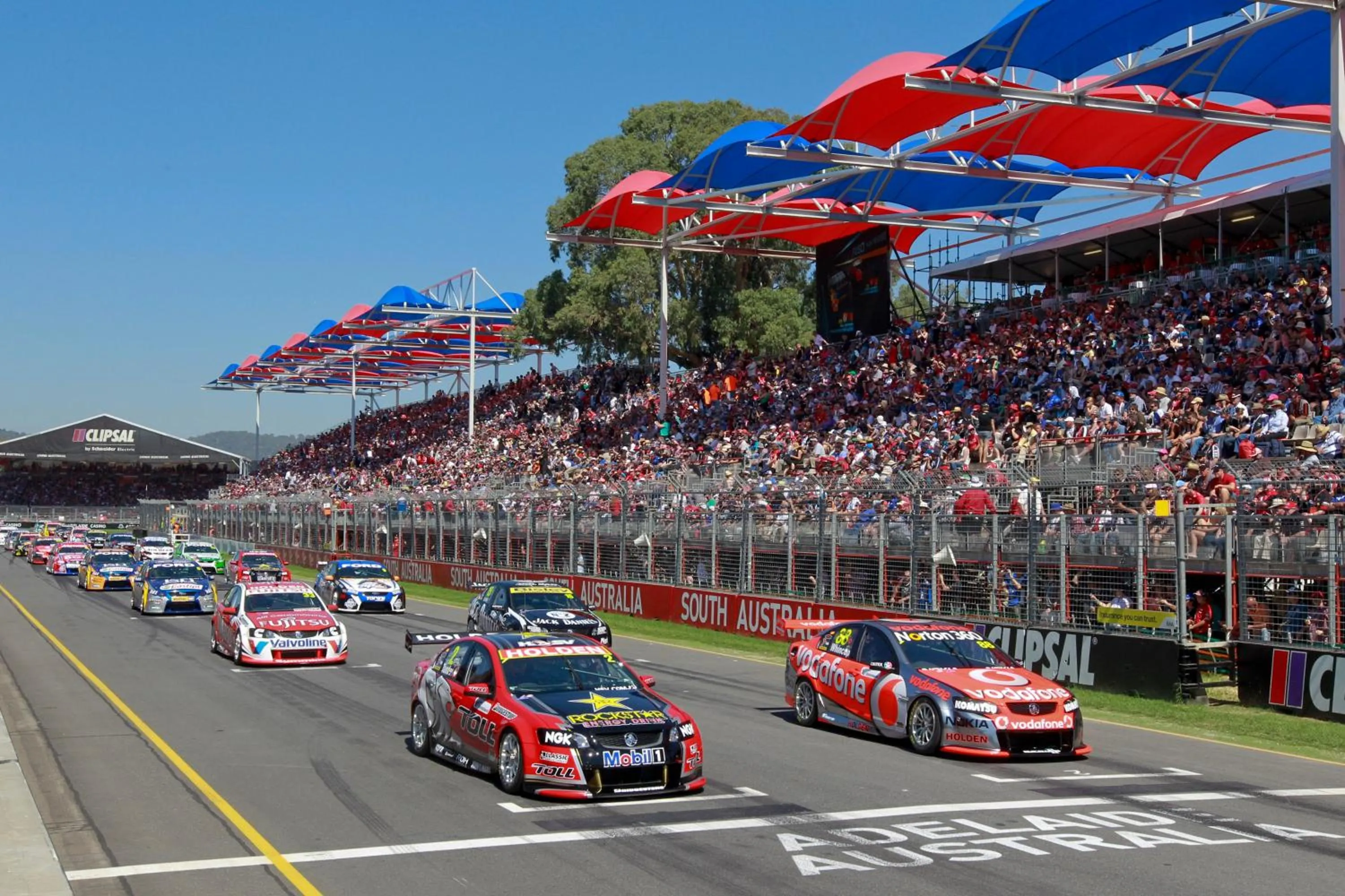 Activities in Swainson on Union