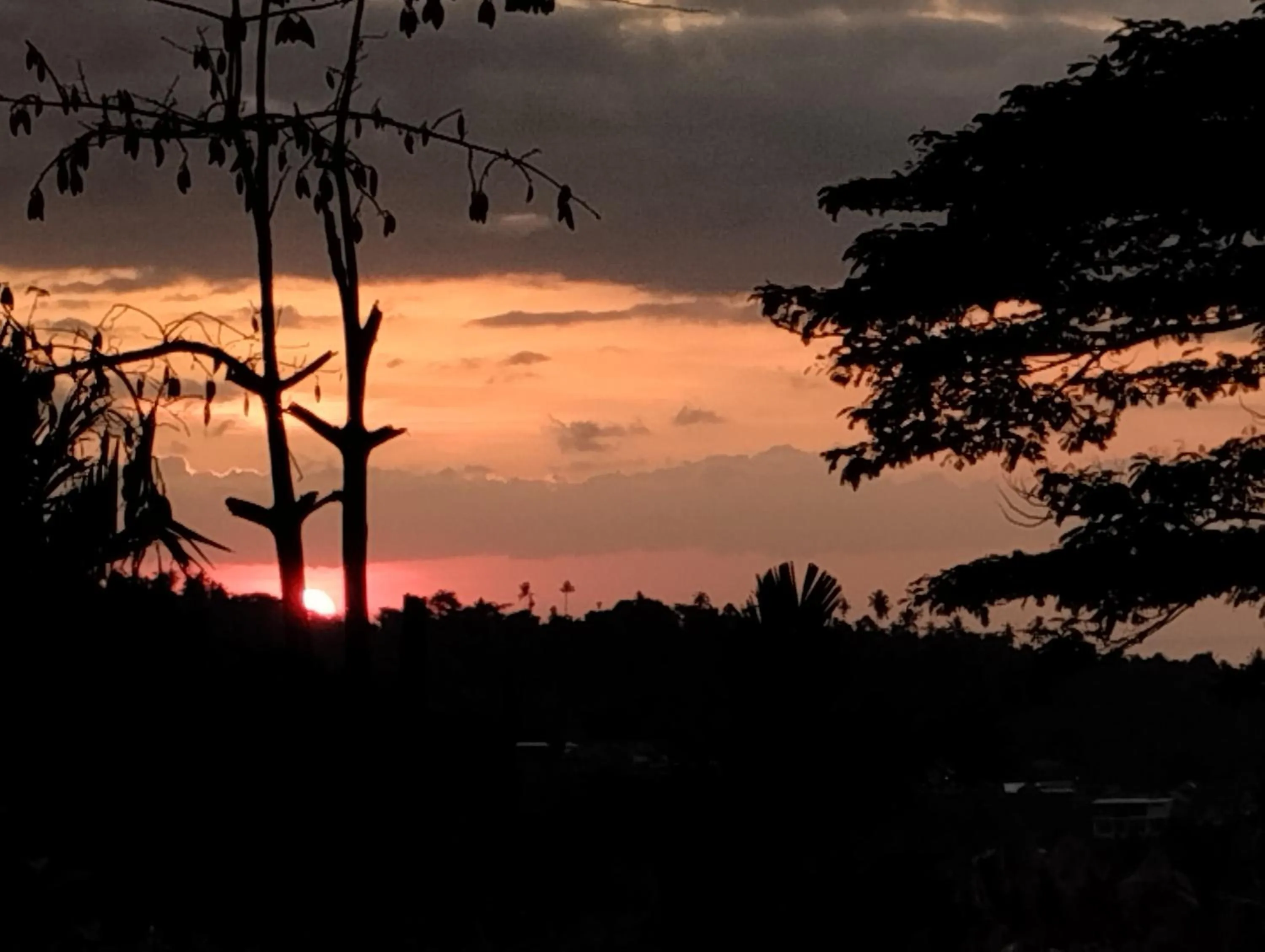 Rinjani Mountain Garden