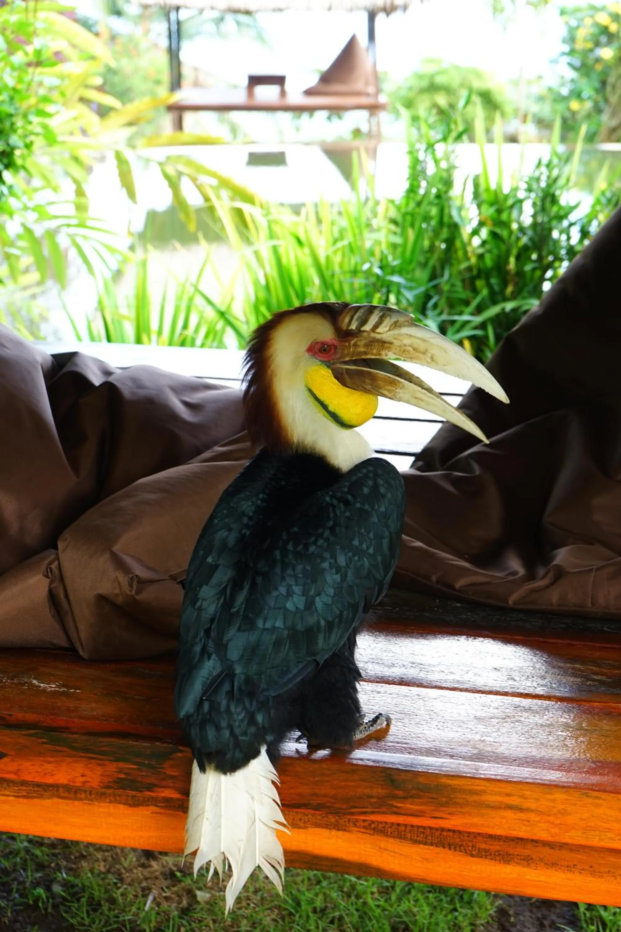 Patio in Rinjani Mountain Garden