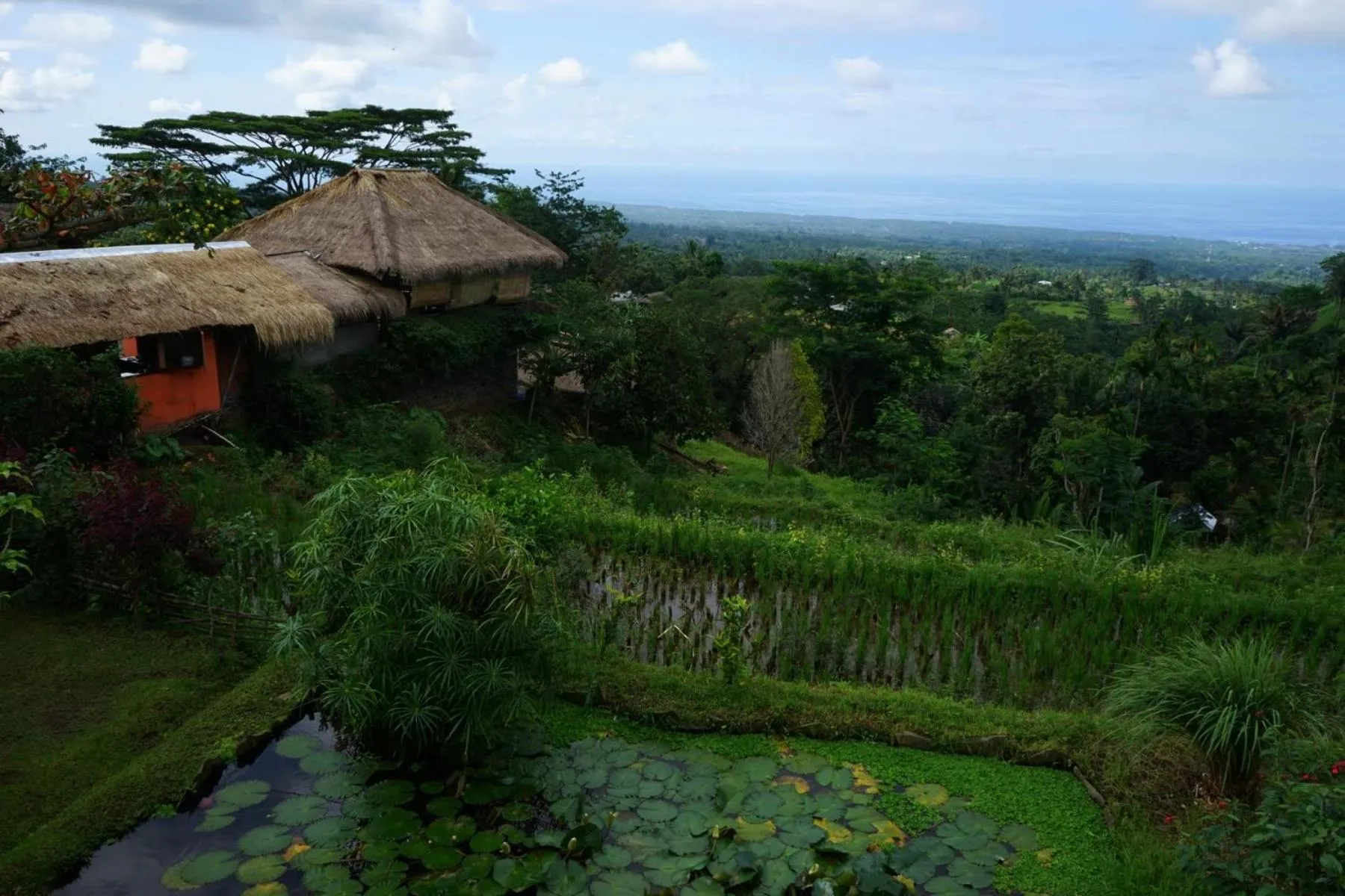 Garden view in Rinjani Mountain Garden