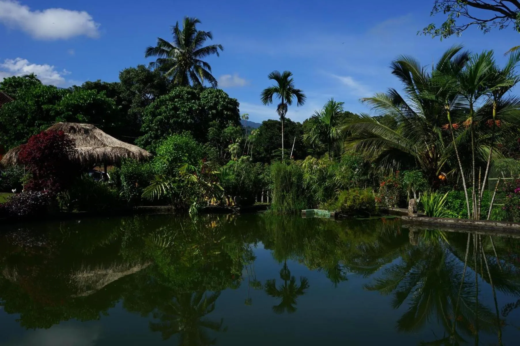 Rinjani Mountain Garden