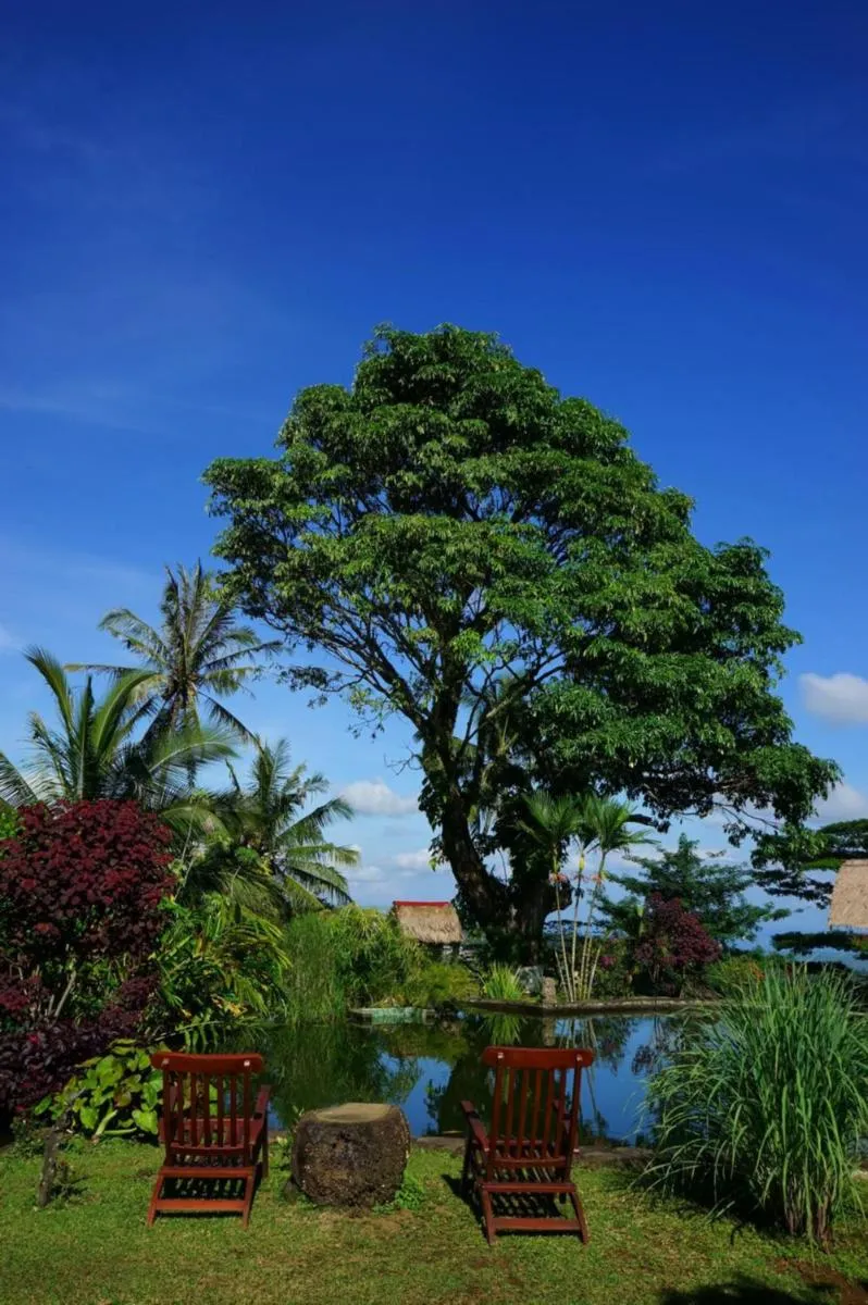 Garden in Rinjani Mountain Garden