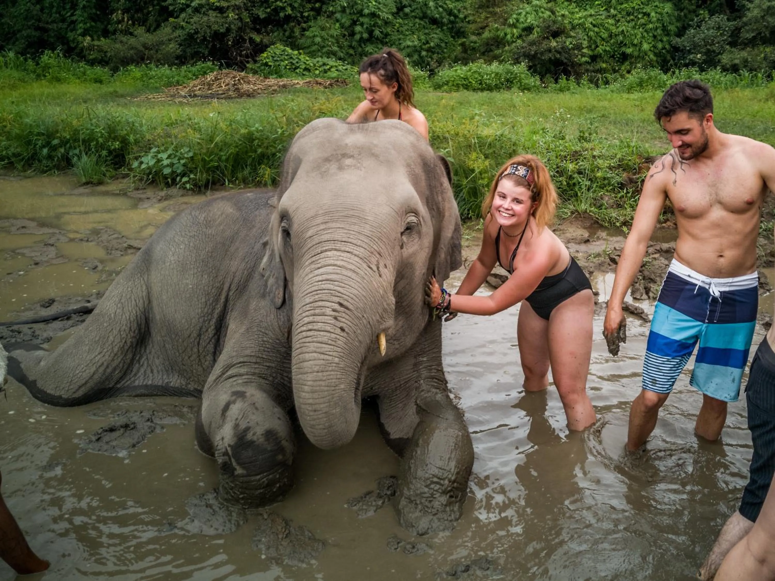 People in Slumber Party Chiang Mai