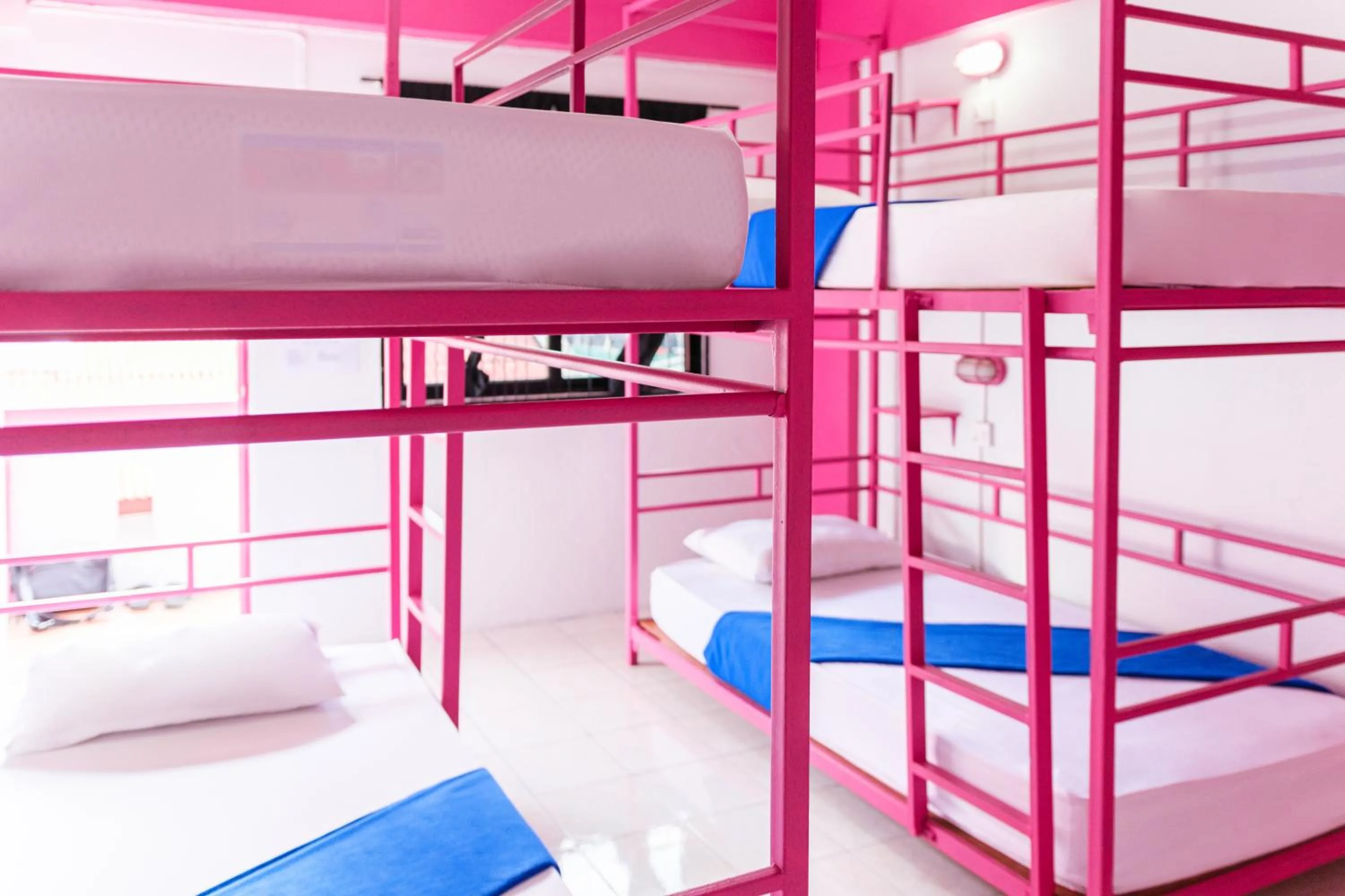 bunk bed, Bed in Slumber Party Chiang Mai