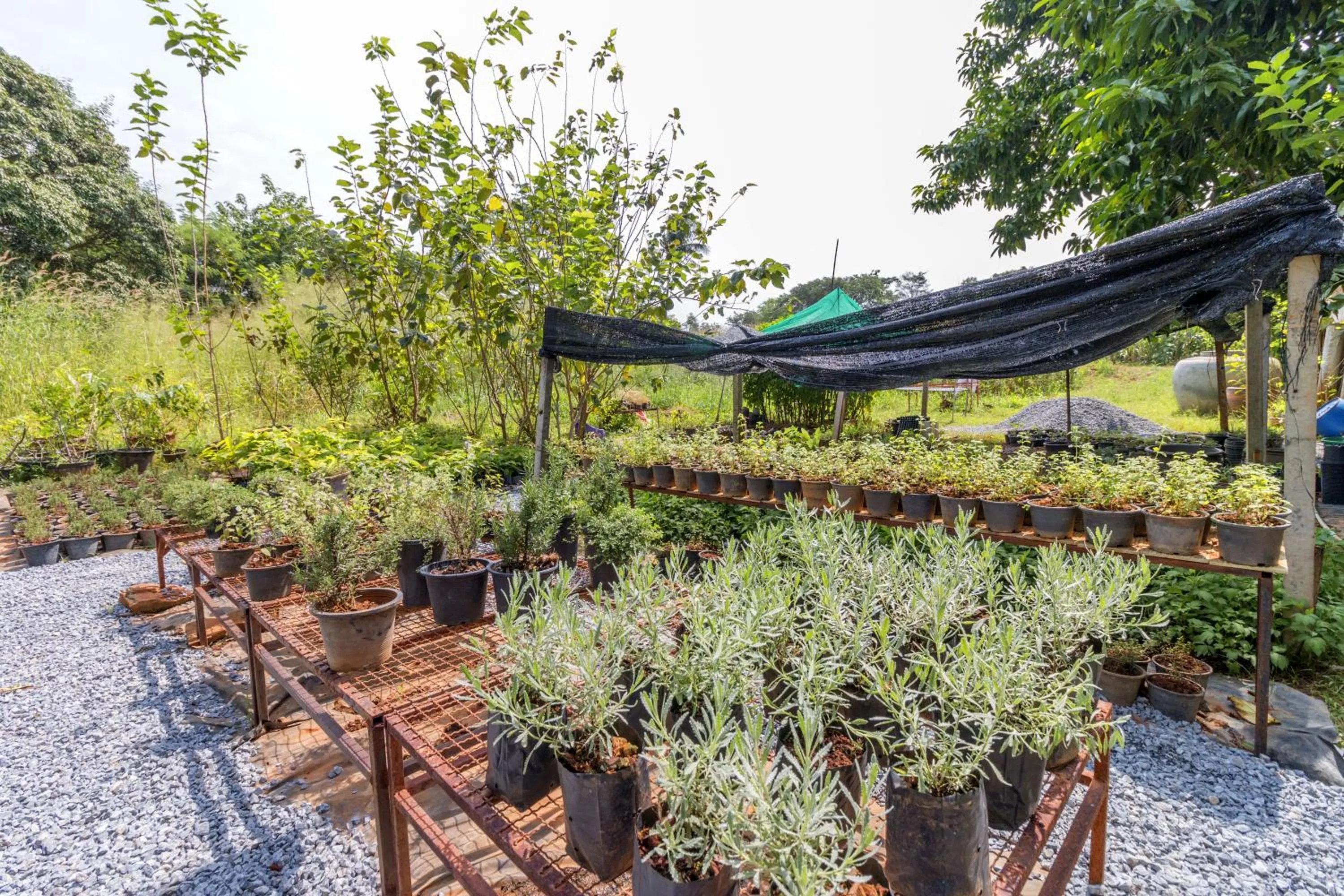 Property building in Rosemary House