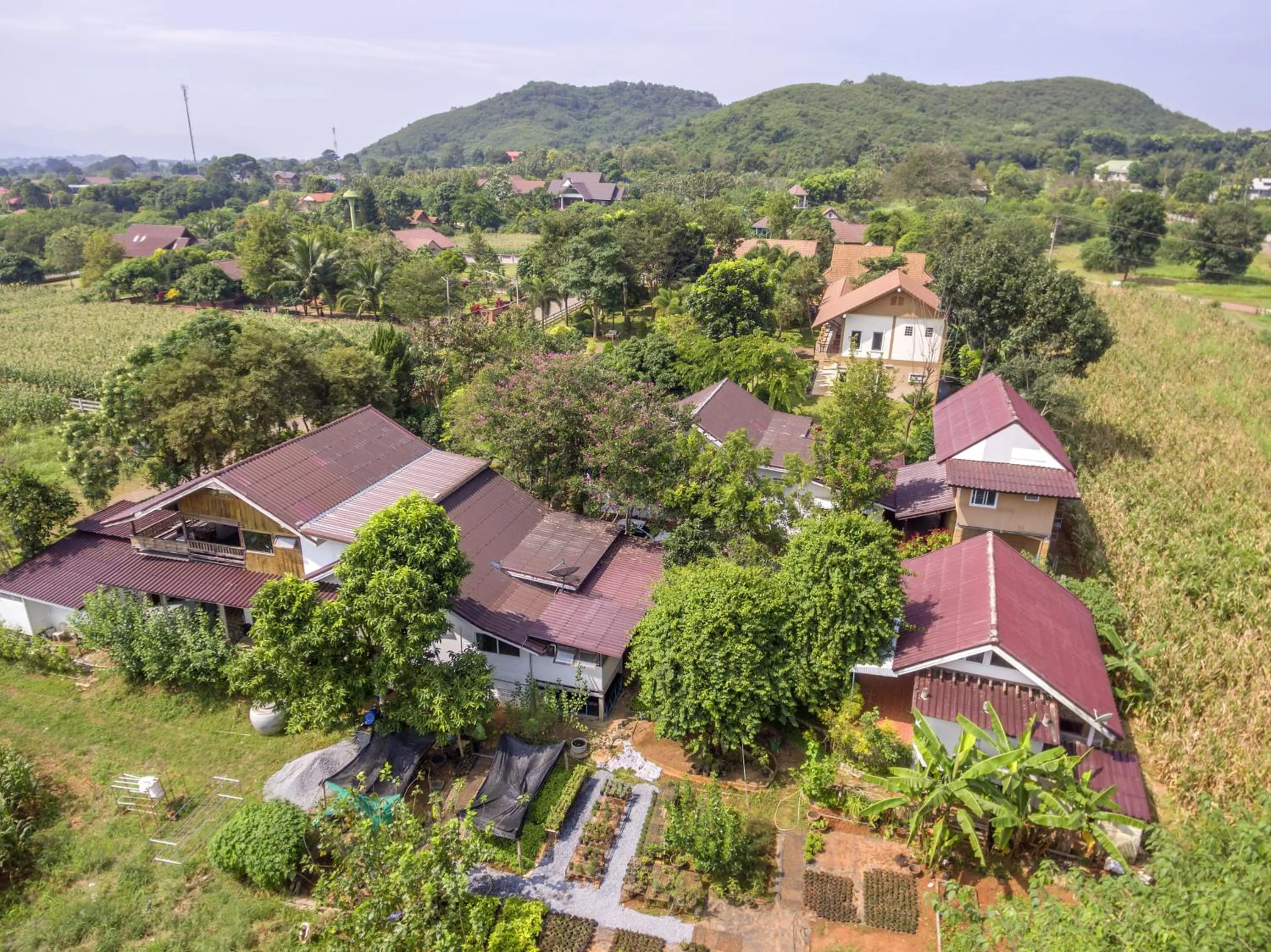 Bird's eye view in Rosemary House