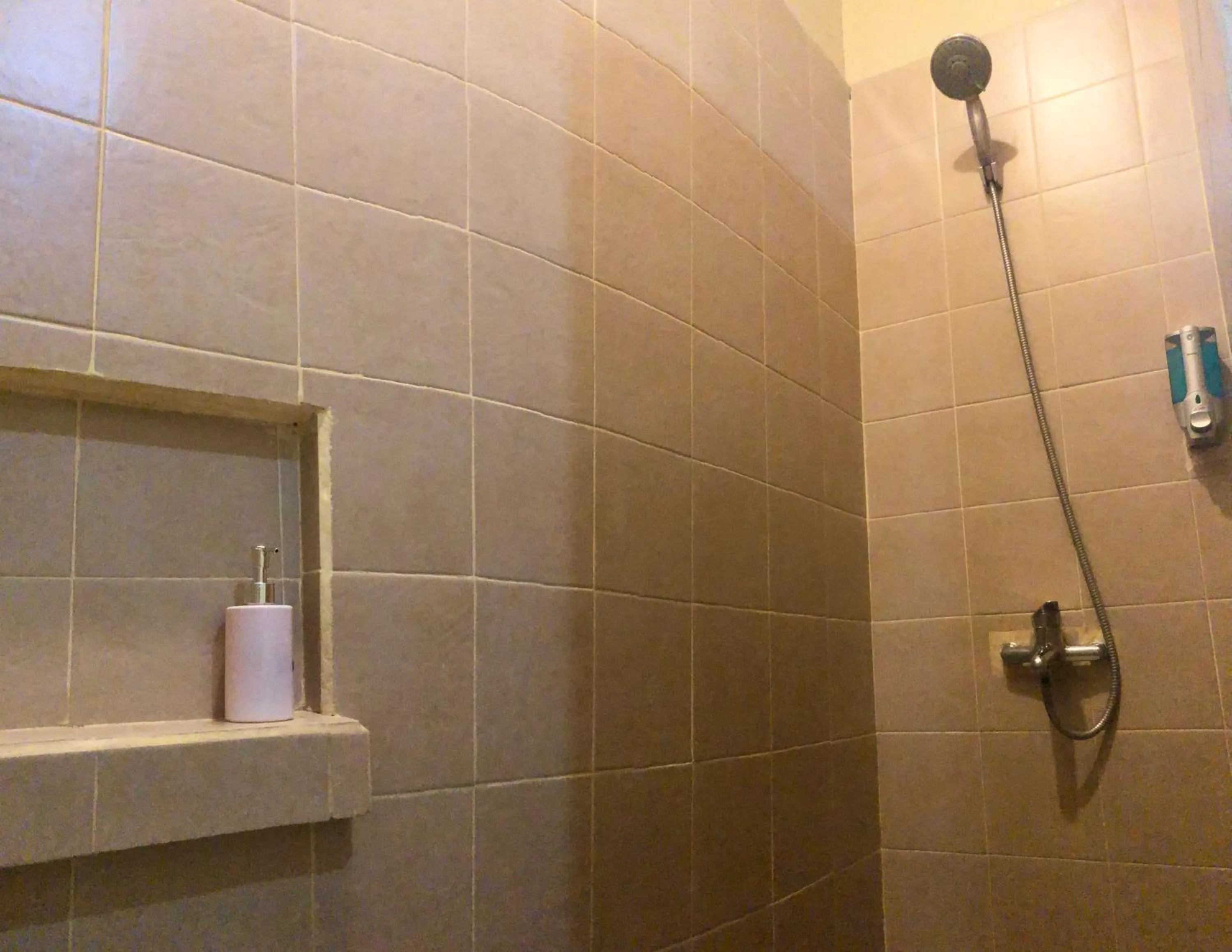 Shower in Wae Molas Hotel