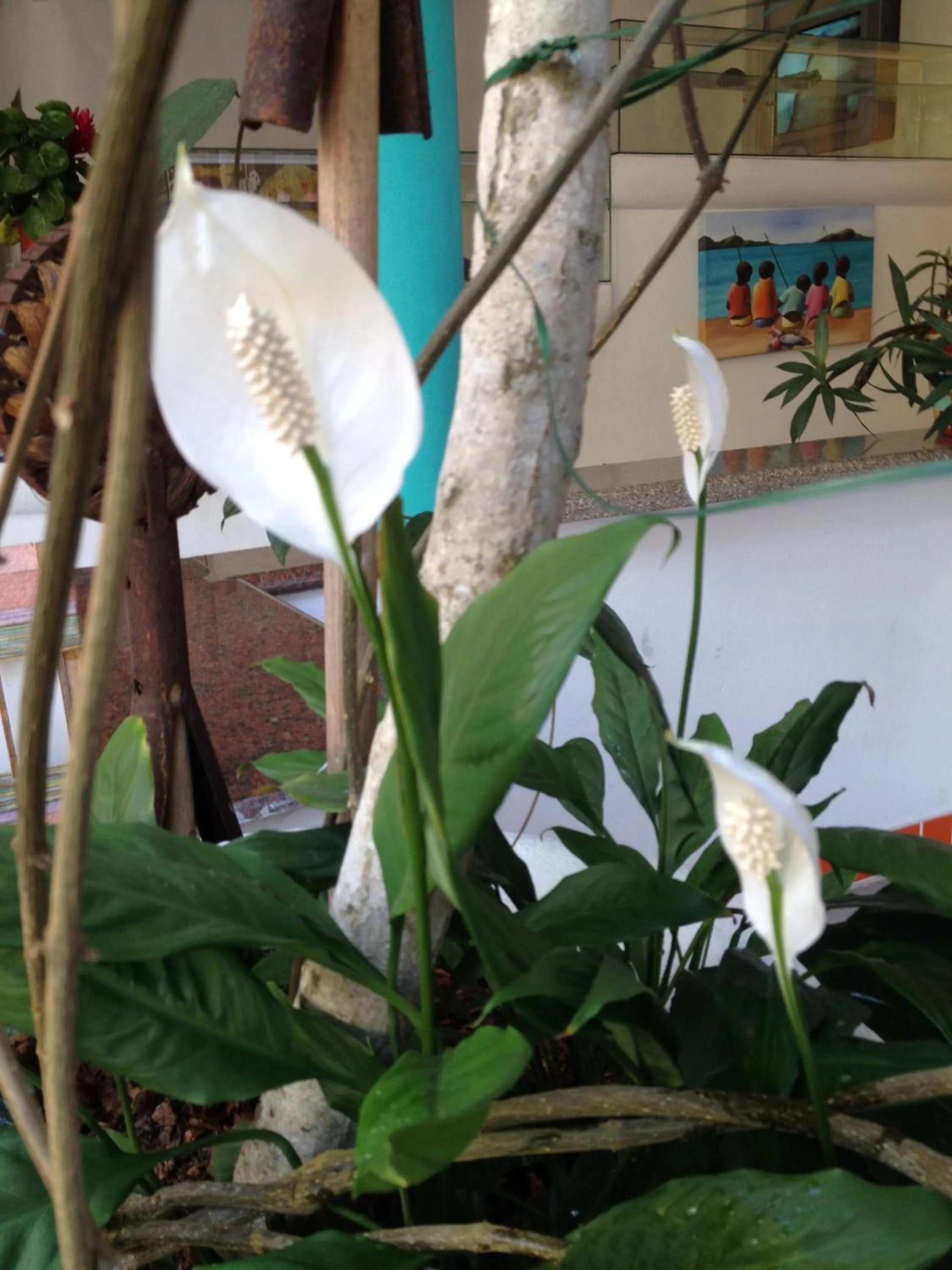 Art Hotel Aos Sinos Dos Anjos