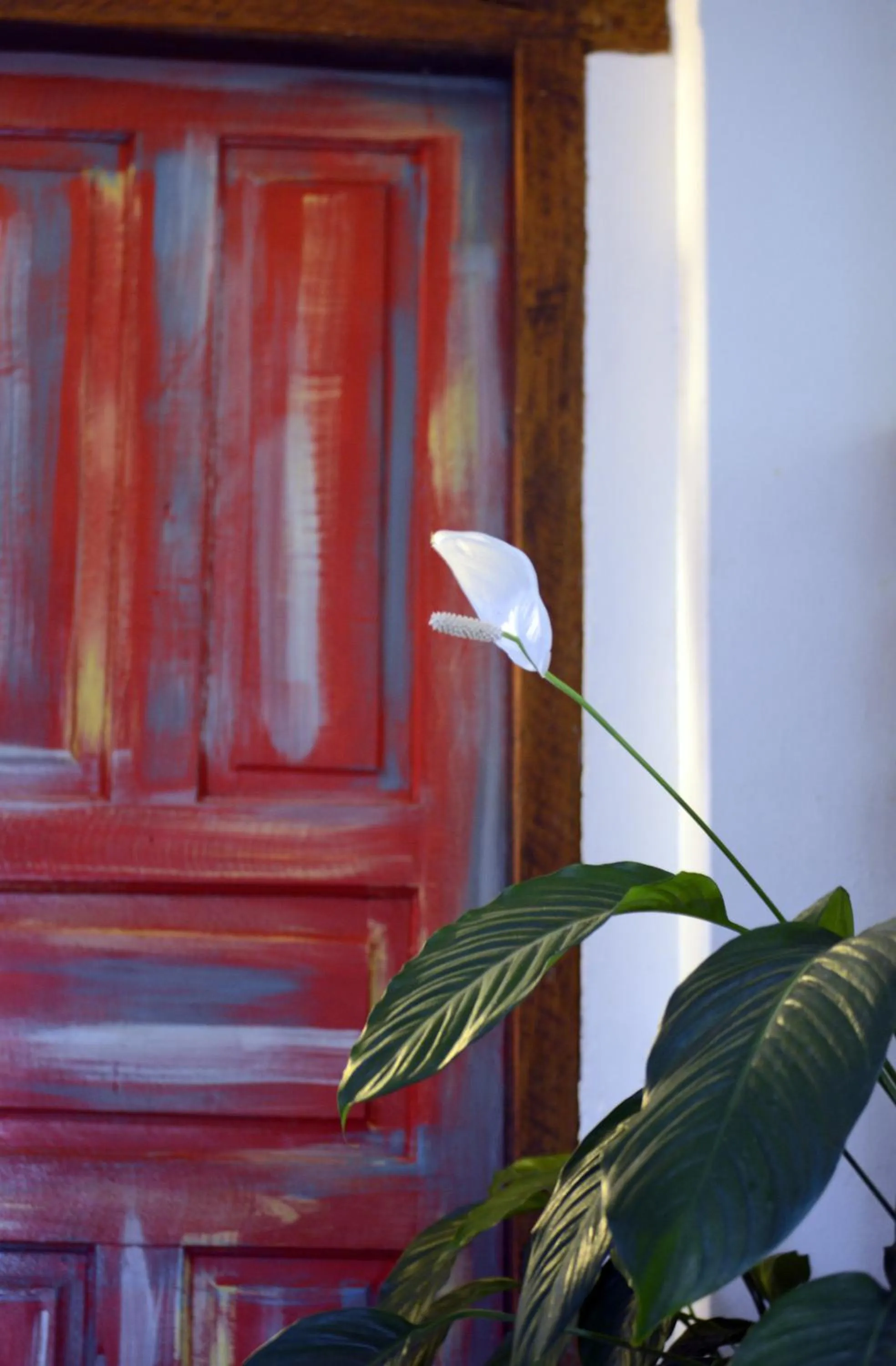 Decorative detail in Art Hotel Aos Sinos Dos Anjos