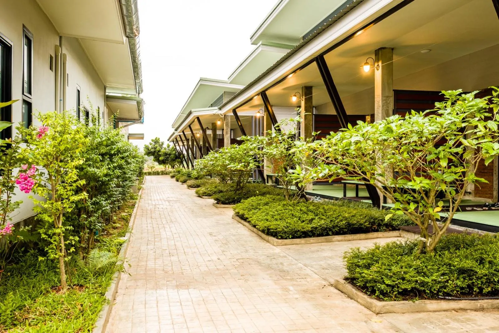 Photo of the whole room in DD Garden Home