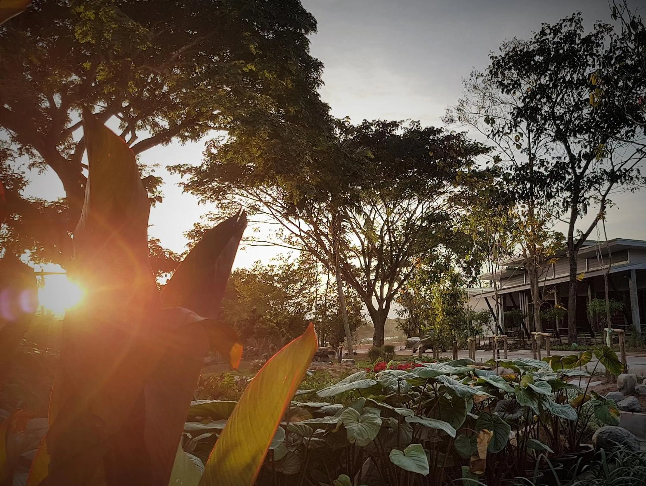 Property building in DD Garden Home