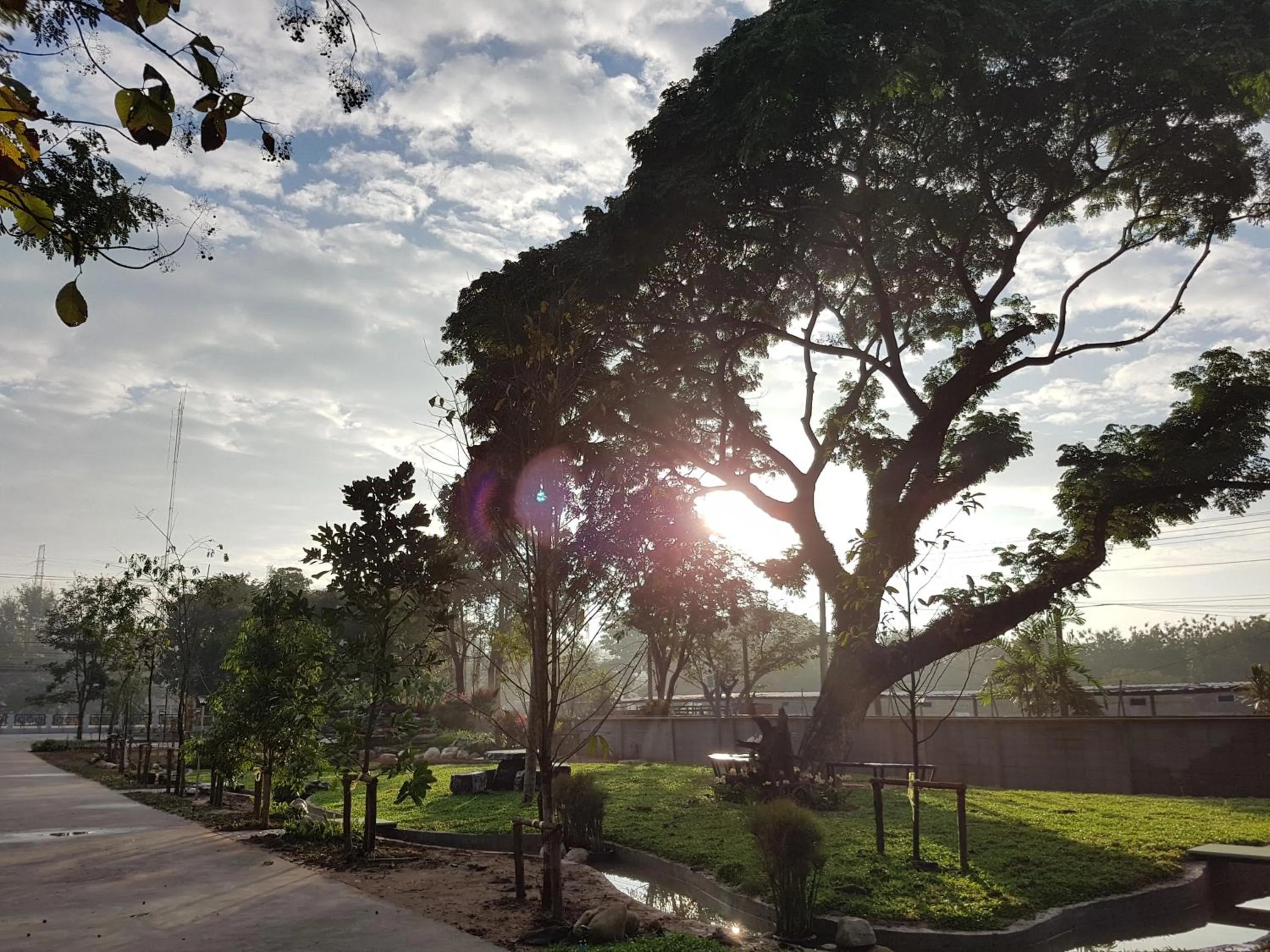 Property building in DD Garden Home