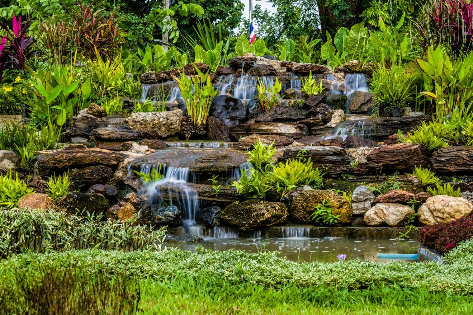 Natural landscape in DD Garden Home