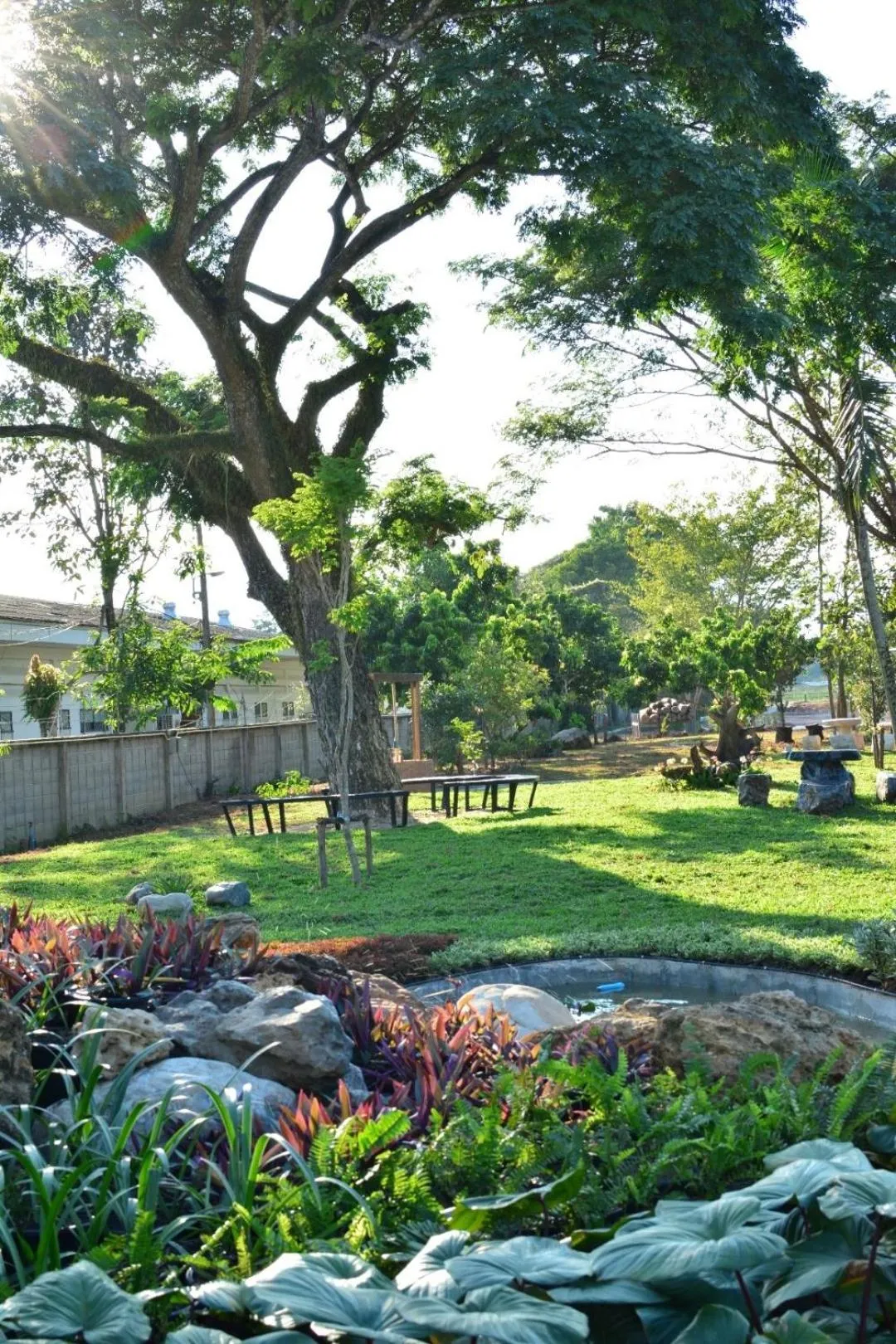 Garden in DD Garden Home