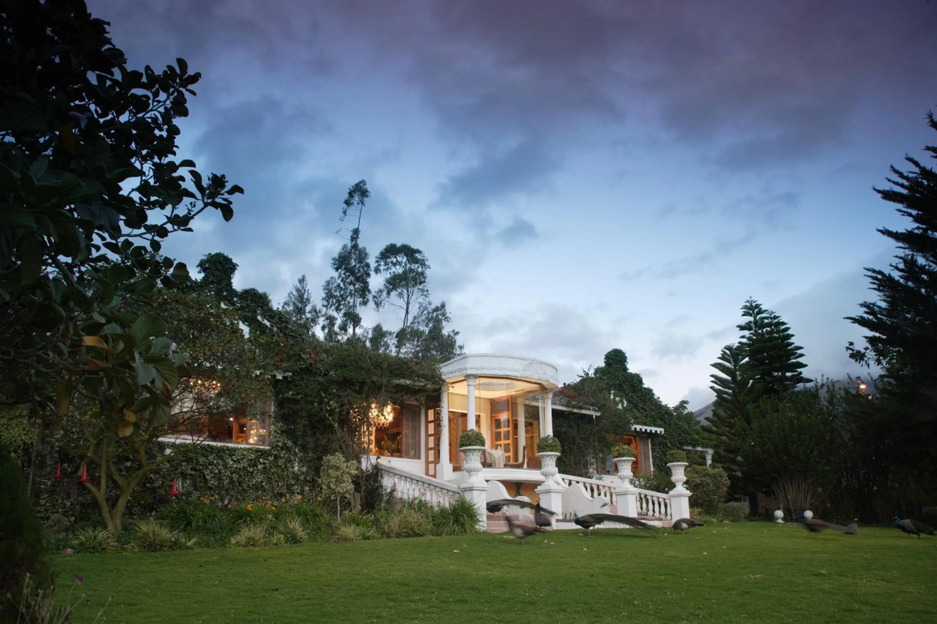 Garden in La Mirage Garden Hotel & Spa