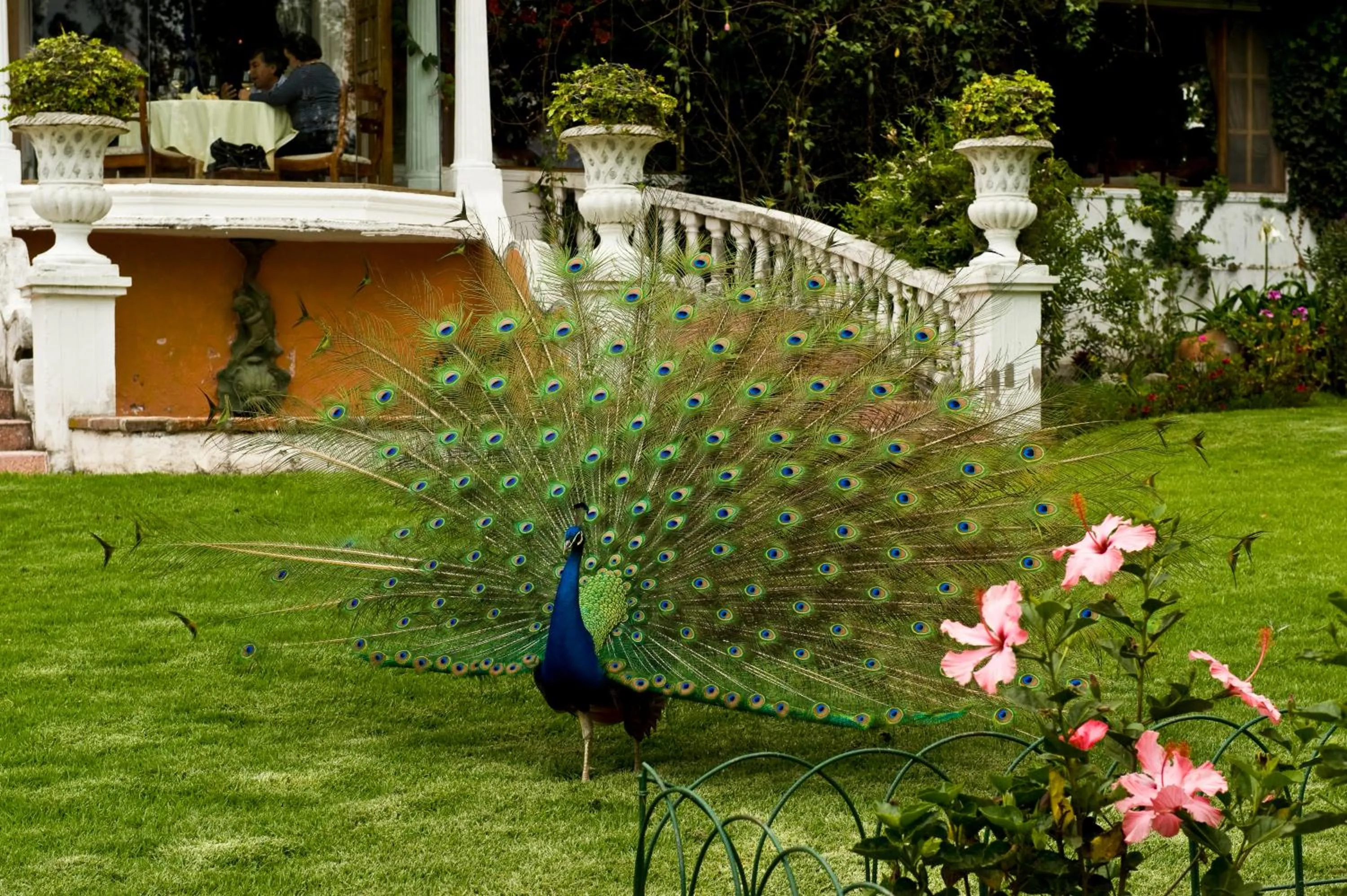 Patio in La Mirage Garden Hotel & Spa