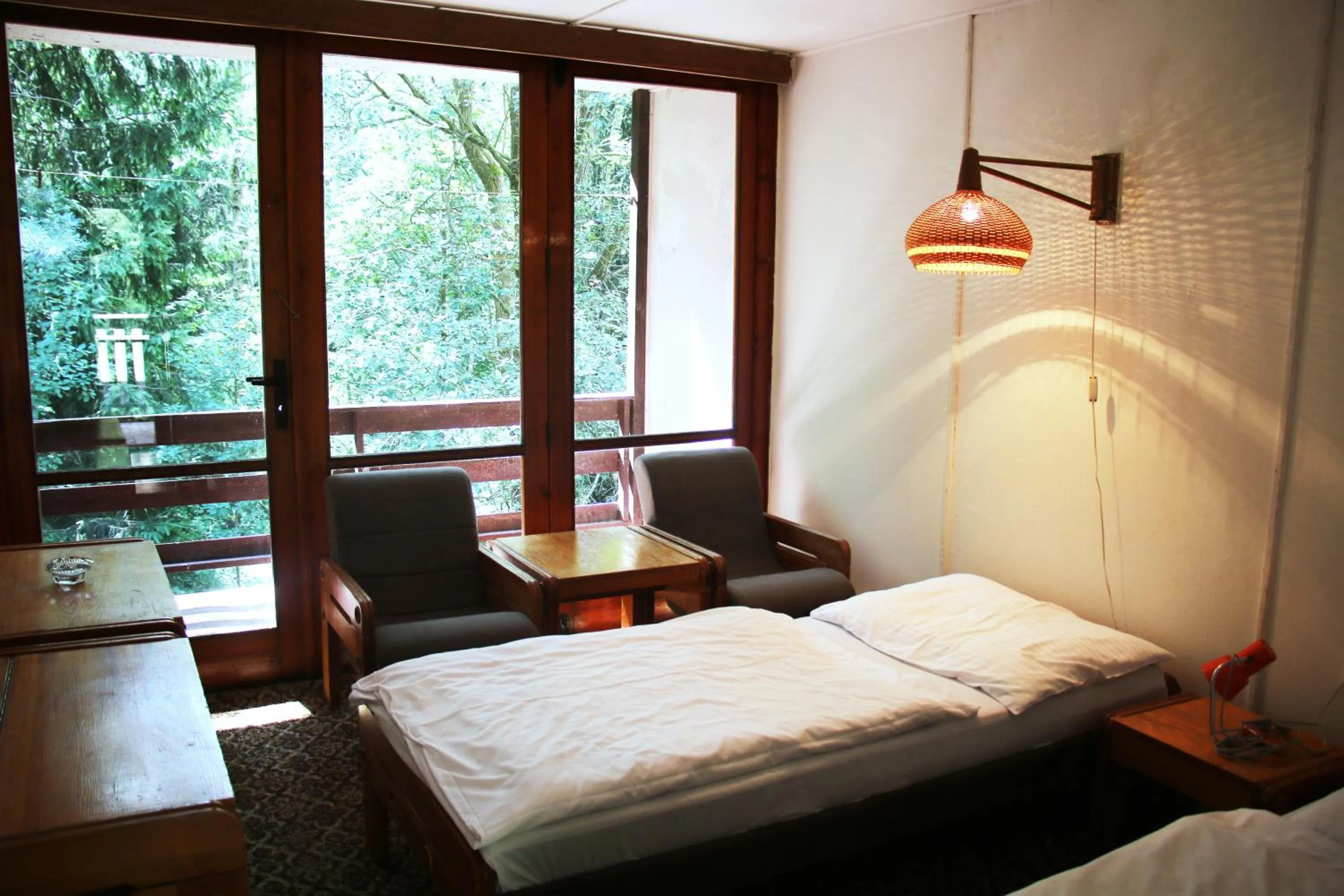 Bed in Hotel Medlov Depandance