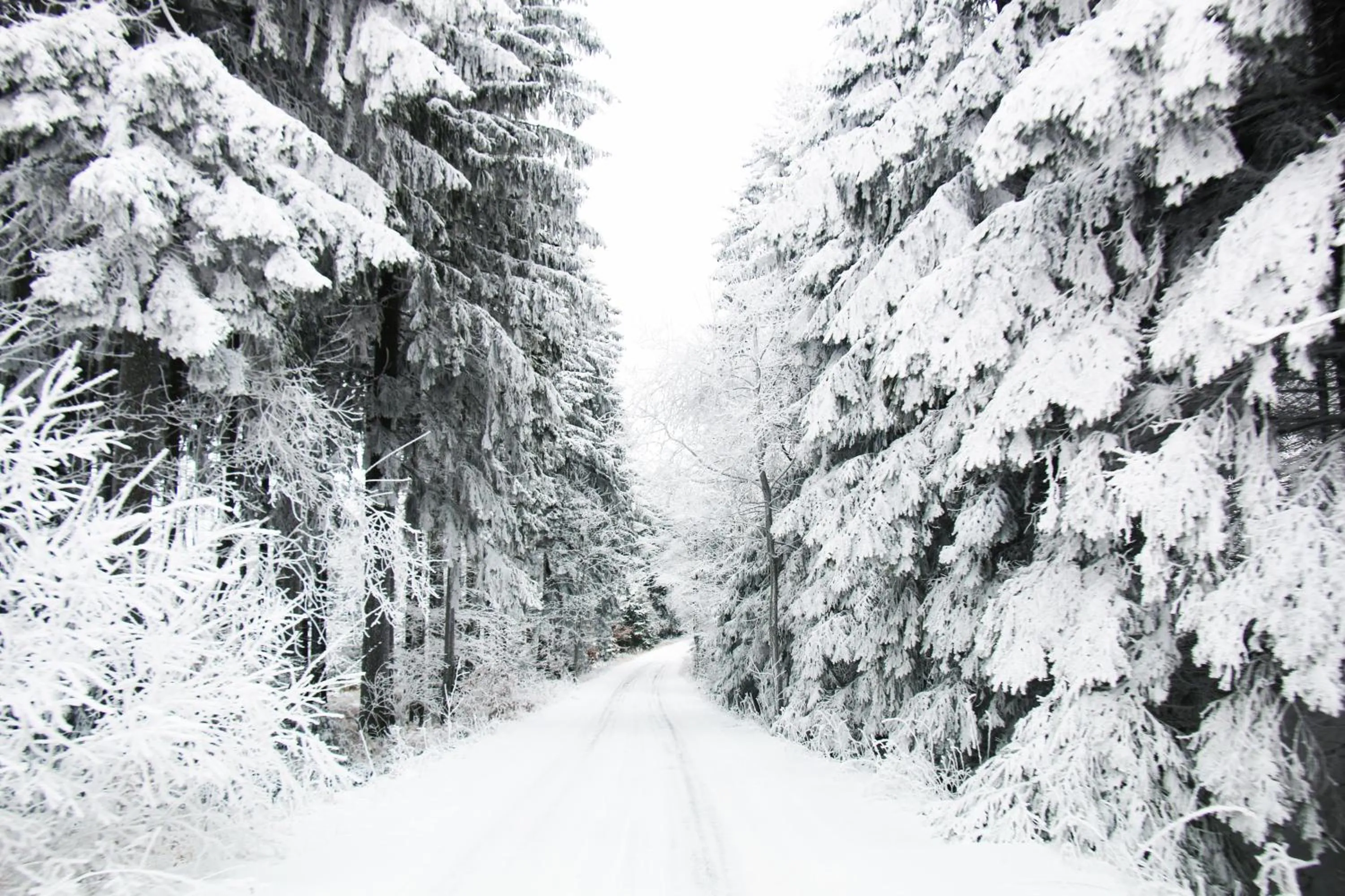 Winter in Hotel Medlov Depandance