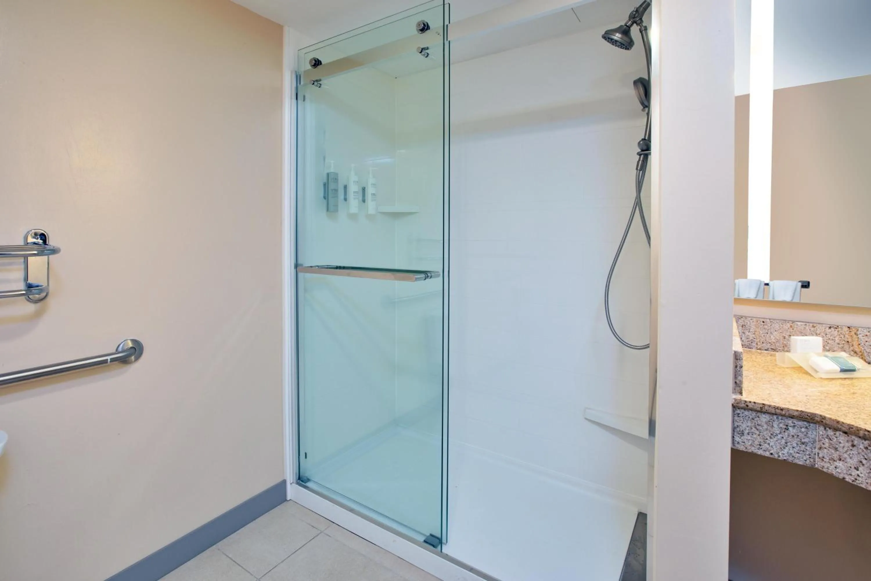 Bathroom in Hilton Garden Inn Chesapeake Greenbrier